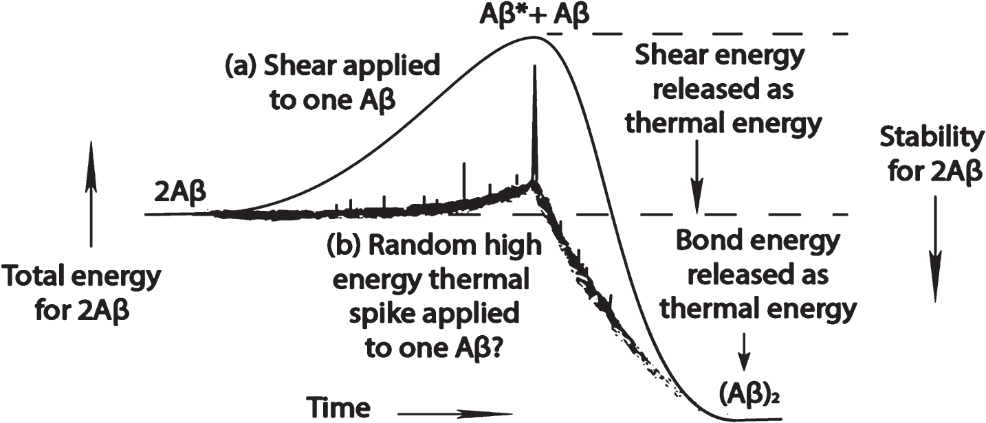 Speculative diagram of free energy uptake that leads to the formation of an Aβ dimer as a function of time by one Aβ molecule: (a) during a liquid shear event; and (b) in a quiescent solution that has a stochastic high energy event that energizes the molecule by severely distorting that molecule.