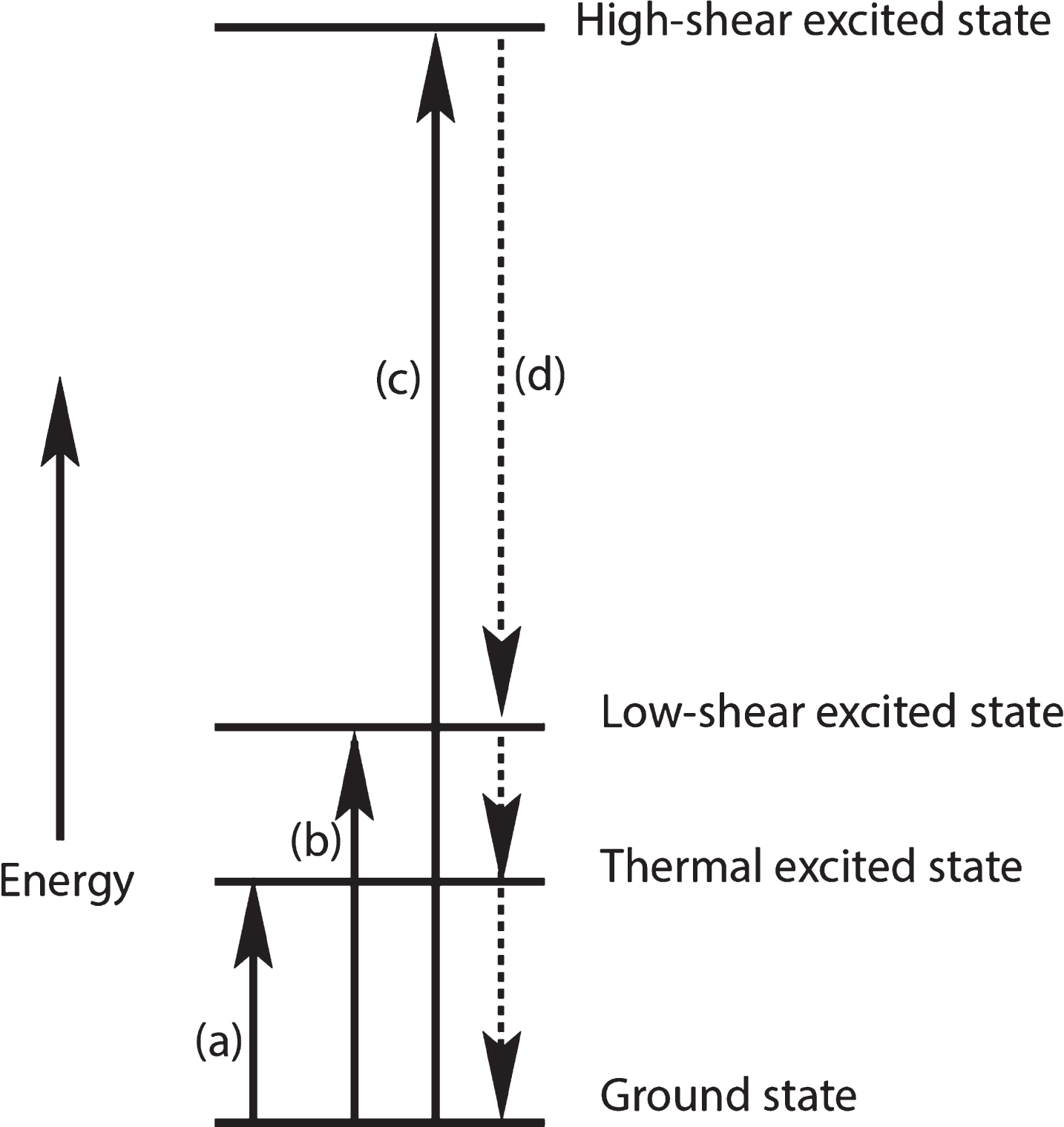 Greatly oversimplified diagram of thermal and shear events that add energy to an amyloid monomer followed by thermal energy transfer to the surroundings. Dashed lines indicate uncertainty about the rate and timing of this energy loss.