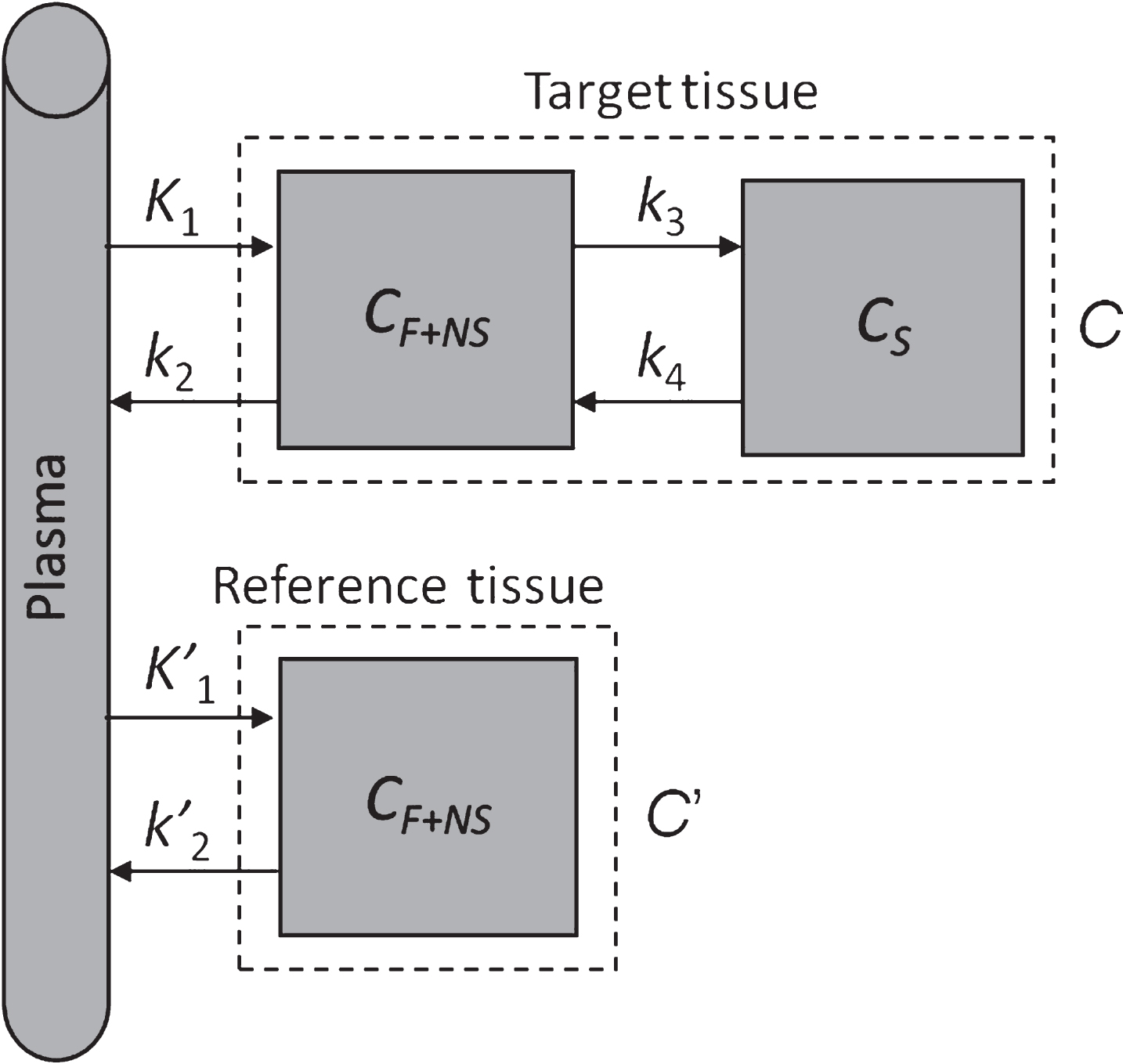 Two-tissue compartment model with reference region. CF+NS is the concentration due to free and nonspecific binding, CS is the concentration due to specific binding.