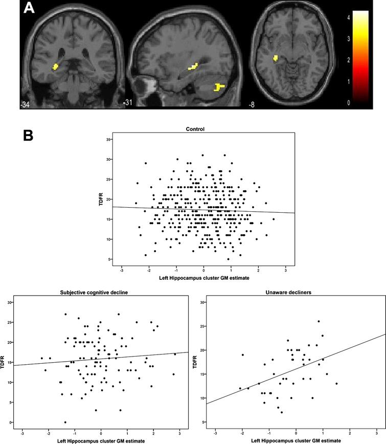 Main effect of positive informant report of decline in decrements of GM volumes (A) and within group associations between memory and GM in the hippocampal cluster (B).