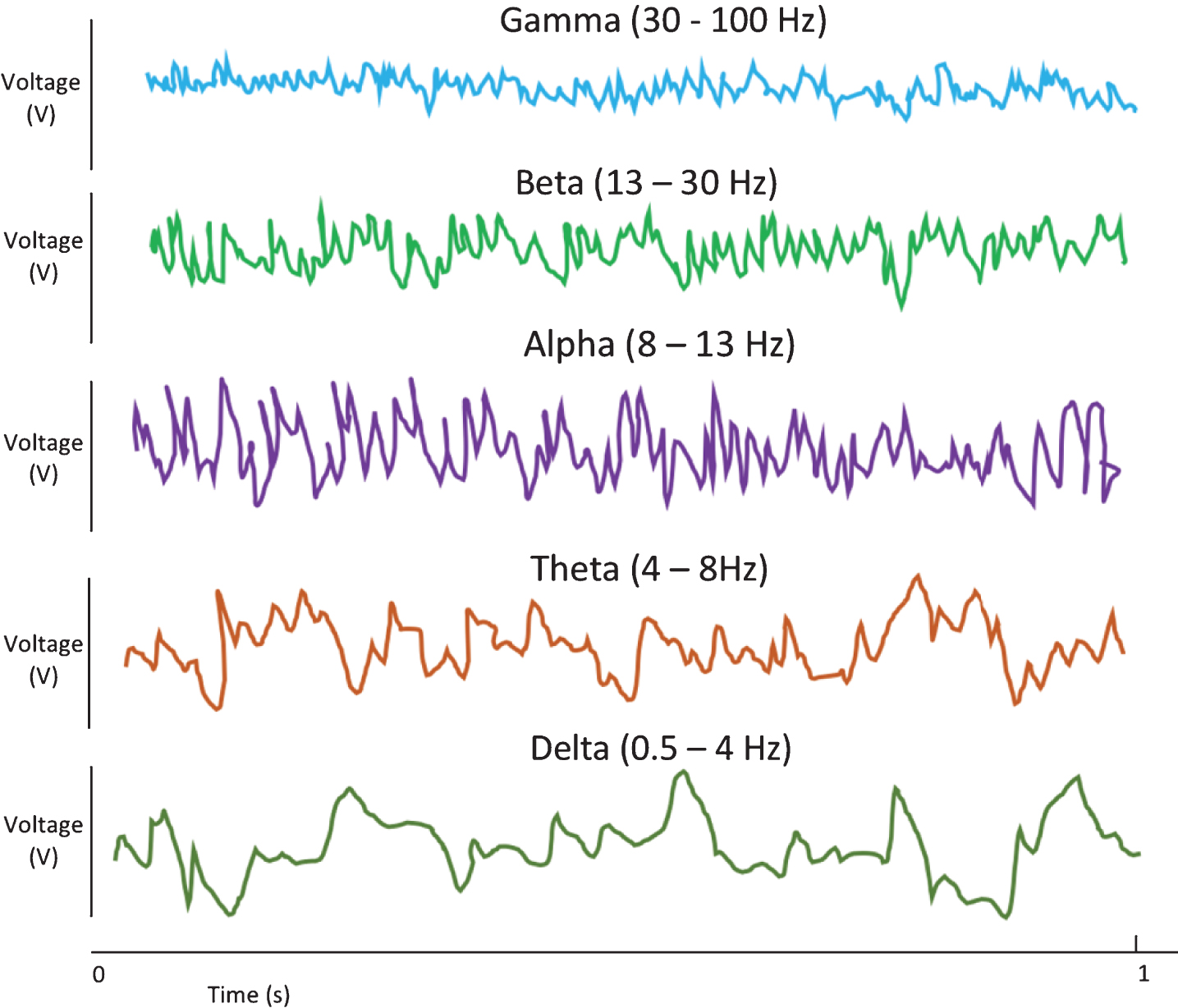 EEG neural oscillatory patterns. These patterns may be divided into groups based on frequency range, with gamma activity being the highest frequency grouping. The frequencies ranges listed are approximate [18, 35].