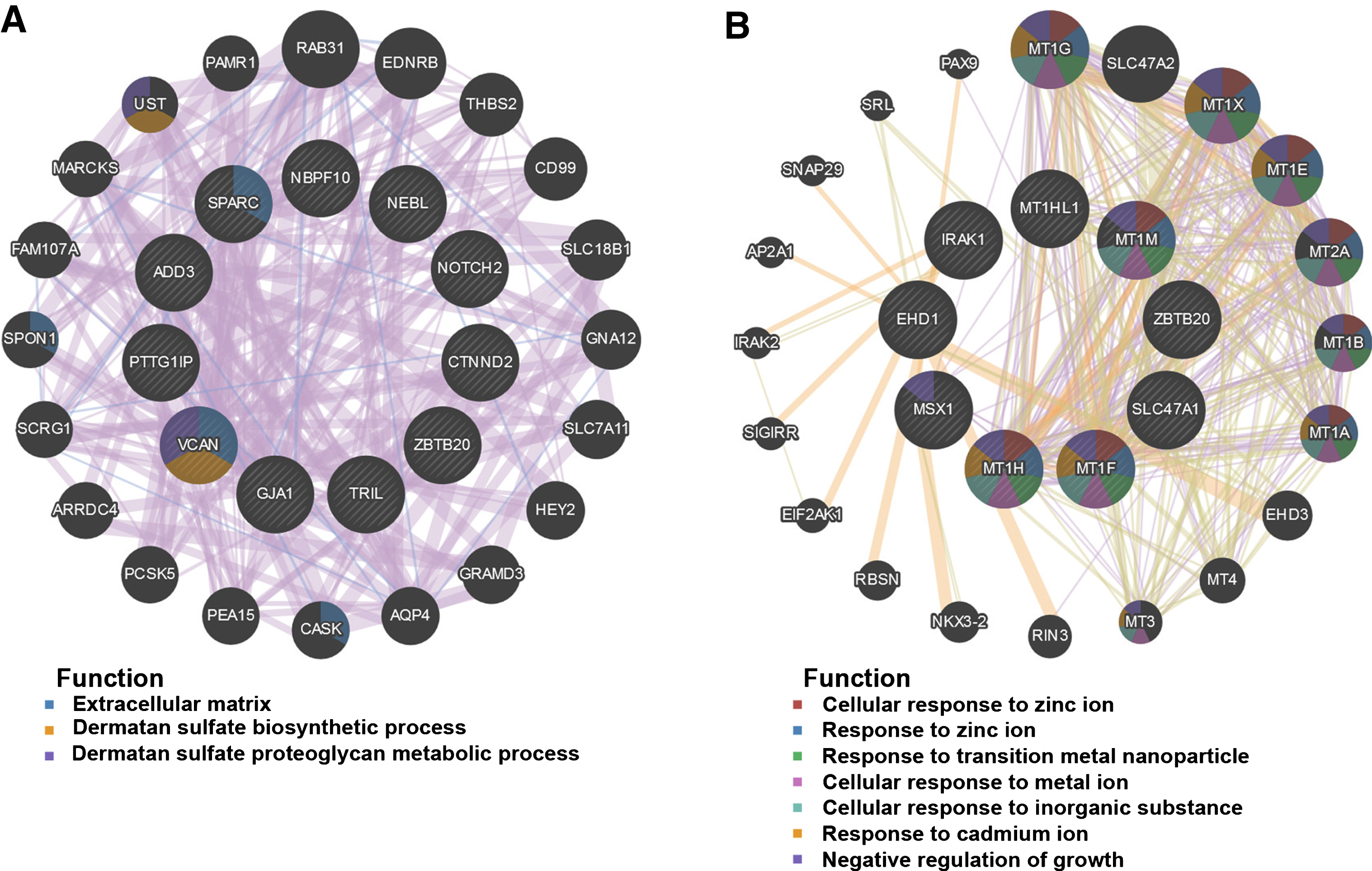 PPI network construction. The PPI network of salmon (A) and lightgreen module (B). Different colors in each node represent different functions as indicated. Function of genes in dark node was not revealed through the analysis.