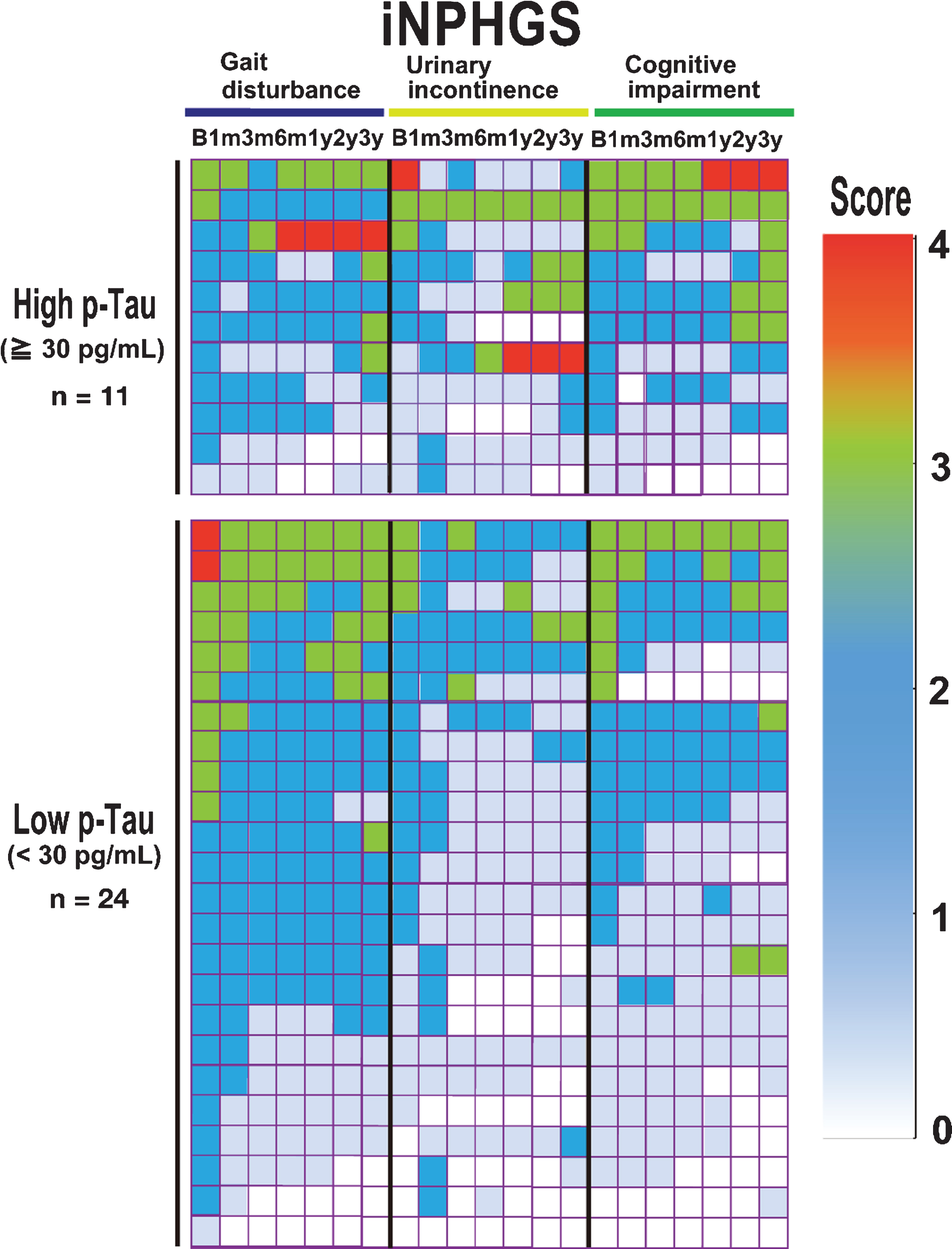 Heat map of iNPHGS impairments in the low and high p-Tau groups over three-year follow-up. Scores on the three iNPHGS subcategories (gait disturbance, urinary disturbance, and dementia) in the low (<30 pg/mL, n = 24; lower panel) and high (≥30 pg/mL, n = 11; upper panel) p-Tau groups during the follow-up period are colored by the degree of severity.