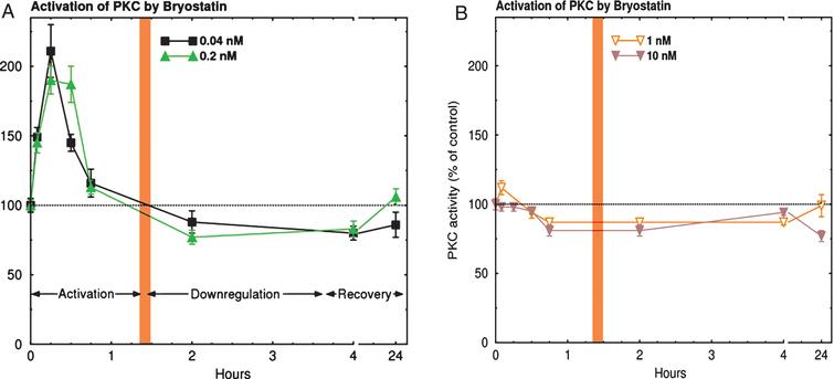 PKC Activation Time course in cultured human neuroblastoma SH-SY5Y cells. PKC activation was measured by the degree of histone phosphorylation in response to continuous application of Bryostatin. Note that in (A), activation for less than 40 minutes occurs with doses below 1 nM (0.01–0.4 nM). Activation is followed by a down-regulation phase (inhibition) for several hours. In (B), with doses of 1 nM or more, activation markedly decreases, but the downregulation phase remains [11]. nM, nanomoles.