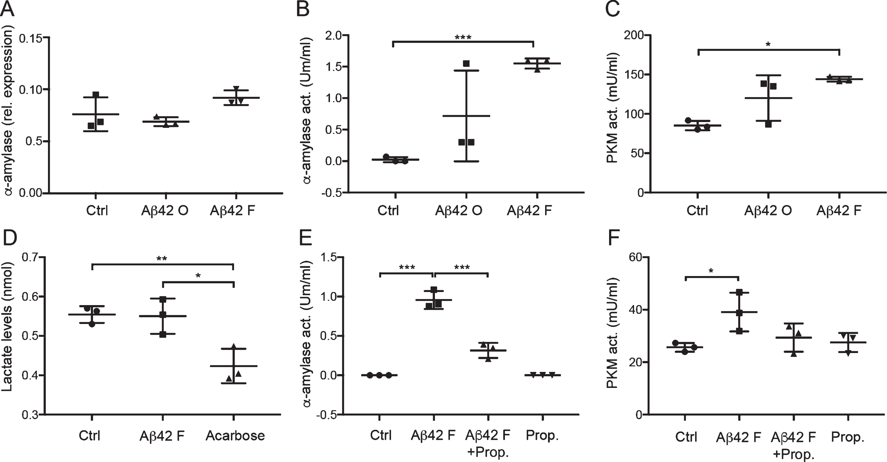 Unchanged gene expression but increased activity of α-amylase and glycolytic changes in cultured astrocytes after Aβ42 stimulation. Column scatter plot in (A) shows relative expression of α-amylase normalized against values of housekeeping genes ribosomal protein L13A (RPL13A) and hydroxymethylbilane synthase (HMBS) in HA stimulated with control (Ctrl), 10 μM Aβ oligomers (Aβ42 O), and 10 μM Aβ42 fibrils (Aβ42 F). No significant difference was seen between the stimulations. Column scatter plot in (B) shows the change in α-amylase activity seen in stimulated HA cells. Aβ42 F stimulated HA showed significantly higher α-amylase activity compared with Ctrl. Column scatter plot in (C) shows the change in pyruvate kinase (PKM) activity seen in stimulated HA cells. Aβ42 F significantly increased PKM activity in HA stimulated with Aβ42 F compared with Ctrl. Column scatter plot in (D) shows the unaltered lactate levels in cell culture medium after stimulation with Aβ42 F, but reduced lactate levels after stimulation with the negative control 5 μM acarbose. Column scatter plot in (E) shows the inhibiting impact of 1 μM propranolol (Prop.) on Aβ42 F induced α-amylase activity, were propranolol counteracted the Aβ42 F- induced α-amylase activity. Column scatter plot in (F) shows the PKM activity in HA after stimulation with propranolol and Aβ42 F. The experiments were performed independently three times with two replicates. Data was analyzed using one-way ANOVA with Tukey post-test and presented as mean±SD. *p < 0.05, **p < 0.01, ***p < 0.001.