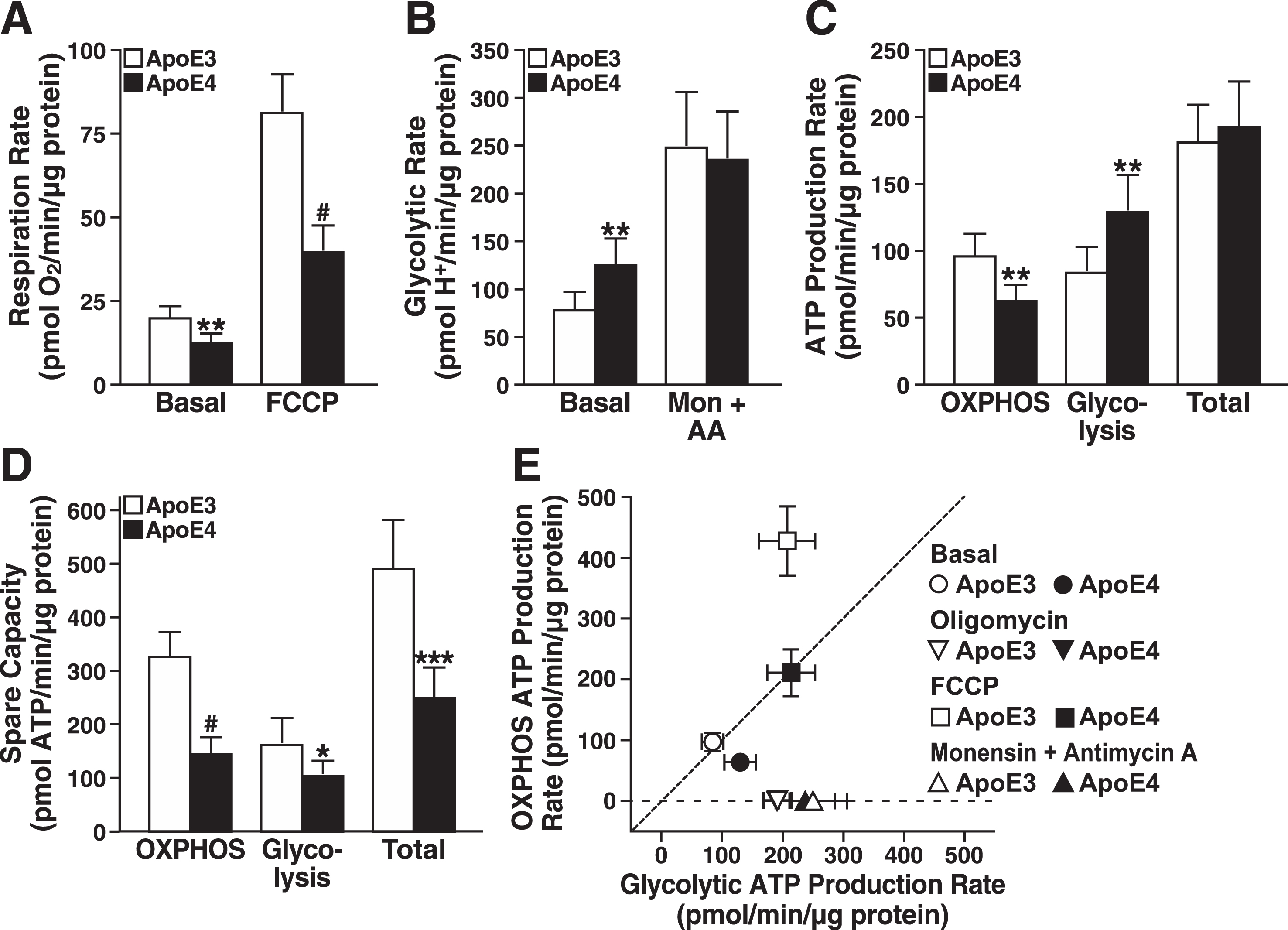 ApoE4 expression limits the bioenergetic capacity of neural cells. A) Respiration rates of N2a-apoE3 and N2a-apoE4 cells under basal and FCCP-stimulated conditions. B) Estimated glycolytic rates of N2a-apoE3 and N2a-apoE4 cells under basal and monensin- and antimycin A–stimulated conditions. C) ATP production rates calculated from mitochondrial and glycolytic rates under basal conditions in A and B. Total ATP production rate is the sum of OXPHOS and glycolytic rates for each cell line. D) Spare ATP production capacity for mitochondrial and glycolytic sources during maximal stimulation. E) Bioenergetic space plot of mitochondrial and glycolytic ATP production rates under basal, ATP-synthase inhibited (Oligomycin), respiration-stimulated (FCCP), or glycolysis-only stimulated (Monensin + Antimycin A) conditions. The dashed line marks the transition where cells generate over 50% of their ATP from OXPHOS (above dashed line) or from glycolysis (below dashed line). FCCP-stimulated ATP production rates are theoretically based on expected ATP from coupled mitochondria respiring at the same rate. A–E, values are mean±SD (n = 6). *p < 0.05, **p < 0.01, ***p < 0.001, #p < 0.0001 versus N2a-apoE3 under same condition by t test. Mon, monensin; AA, antimycin A.