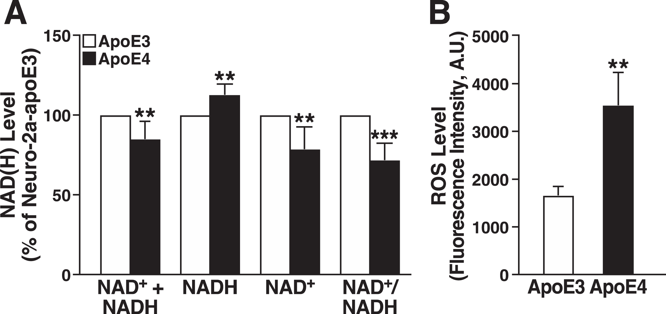 ApoE4 expression decreases the NAD+/NADH ratio and increases ROS production. A) Total levels of NAD+ + NADH, NADH, NAD+, and NAD+/NADH ratio in N2a-apoE4 cells under basal conditions relative to those in N2a-apoE3 cells (n = 5). One sample t test with theoretical mean at 100% (no change from level in N2a-apoE3 cells). B) Intracellular ROS levels in N2a-apoE3 and N2a-apoE4 cells stained with CellROX Orange (n = 3). Values are mean±SD. **p < 0.01, ***p < 0.001 versus N2a-apoE3 under same condition (t test). A.U., arbitrary units.