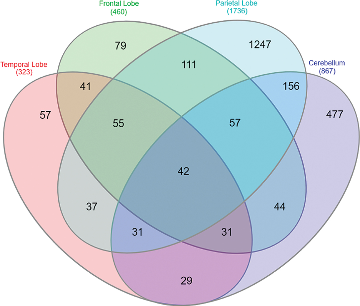 Overlap of DEGs in the AD expression profile across brain regions. Forty-two genes were observed to be significantly differentially expressed across all four AD brain regions.