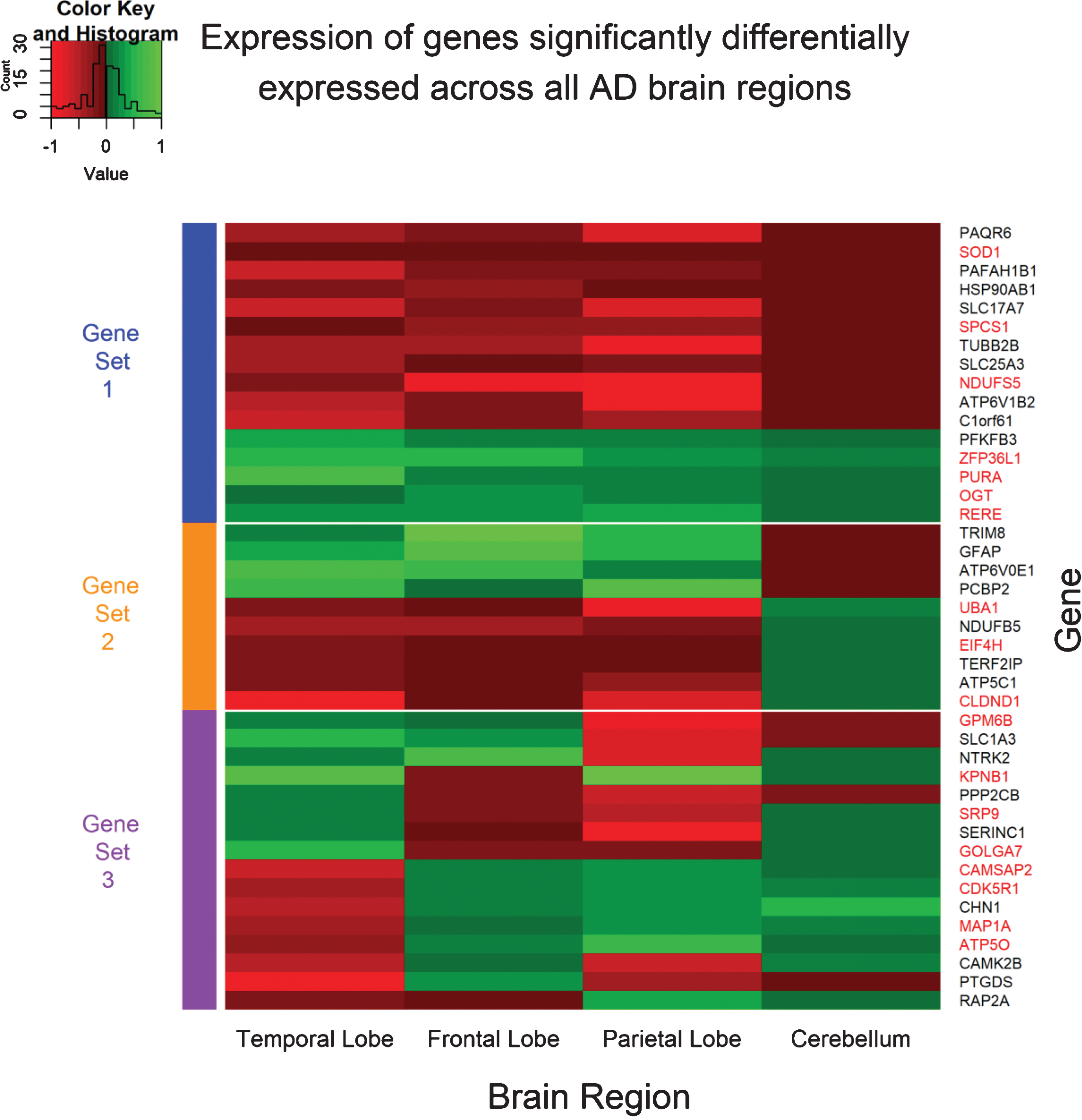 Expression pattern of genes significantly differentially expressed across all four AD brain regions. The expression values for each gene was obtained from the meta-summary calculations. Red cells represent downregulated genes, and green cells represent upregulated genes. Forty-two genes were observed to be significantly perturbed across all four AD brain regions and can be grouped into three “sets”. Gene set 1 represents genes which are perturbed consistently in the same direction across all AD brain regions and can be considered disease-specific. Gene set 2 represents genes consistent in expression in the temporal lobe, frontal lobe, and parietal lobe brain regions, but reversed in the cerebellum brain region; a region often referred to be free from AD pathology. Finally, Gene set 3 represents genes which are significant DE across all four brain regions, however, directional change is not consistent across the brain regions and may represent tissue-specific genes or even false positive. The gene names highlighted in red are genes perturbed in AD and not in any other disorder used in this study and are deemed “AD-specific”.
