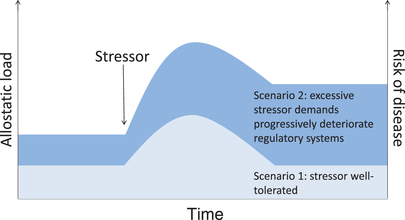Allostatic load scenarios. Both intrinsic (e.g., stress reactivity, resilience, existing disease states) and extrinsic (e.g., prior and concurrent exposure to other psychosocial, physical, or chemical stressors) factors will interact to determine to what extent stressor exposure contributes to physiological dysfunction, or allostatic load, and increases the risk of disease.