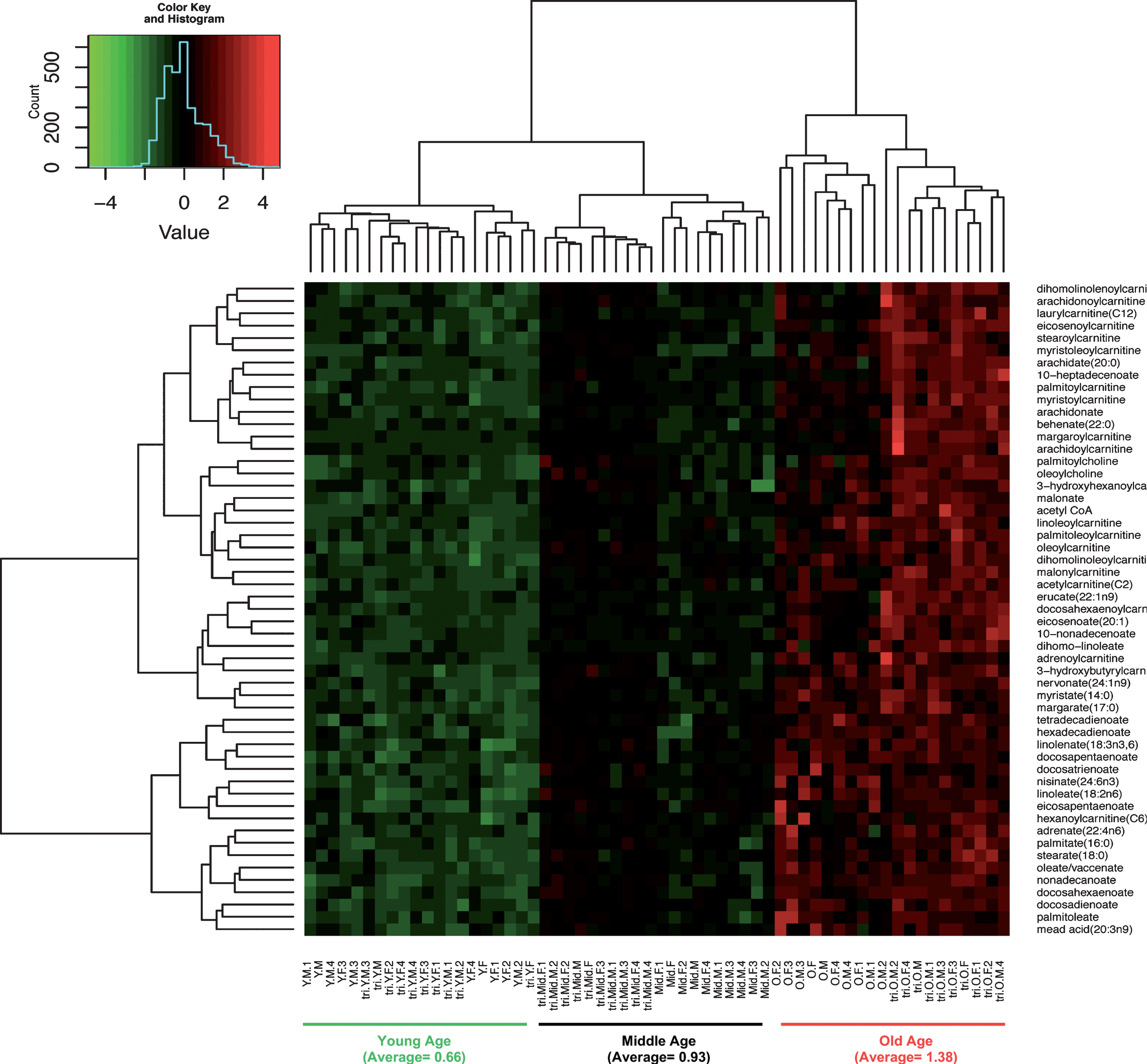 Elevated fatty acid metabolites cluster by age and genotype in both females and males. Scaled intensity of each metabolite in each sample was clustered in rows and columns. Differences in levels were clustered predominantly by age. Genotype effects were remarkably distinguished starting from middle age. Gender was less affected. Green indicates a lower scaled intensity and red indicates a higher scaled intensity. tri, 3xTg-AD; non-tri, NTg; Y, young; M, middle-age; O, old, un-numbered; 1, 2, 3, 4 = sample number from different mice.