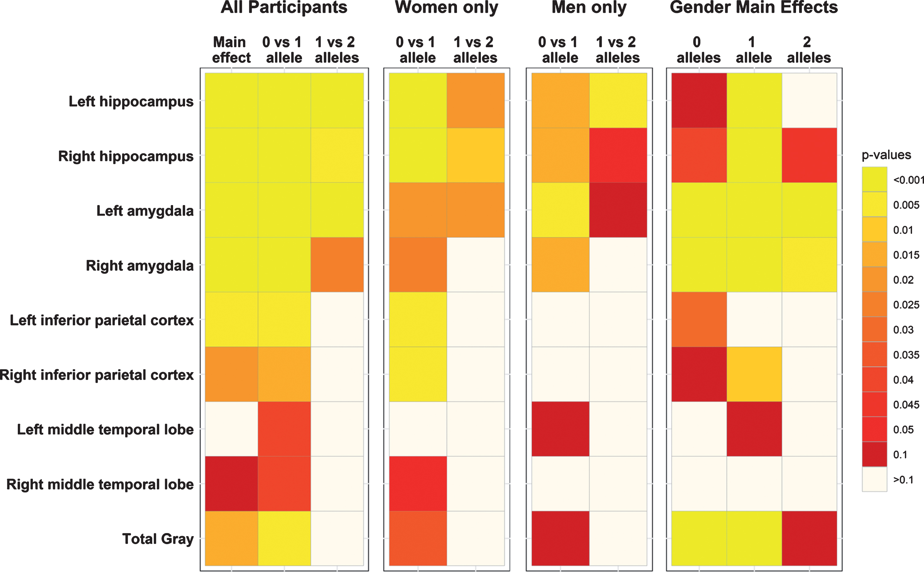 Significance heatmaps for brain regions of interest. Region of interest p-value heatmaps showing significant APOE ɛ4 effects for all participants, sex-stratified effects, and the main effects of sex by APOE ɛ4 allele.