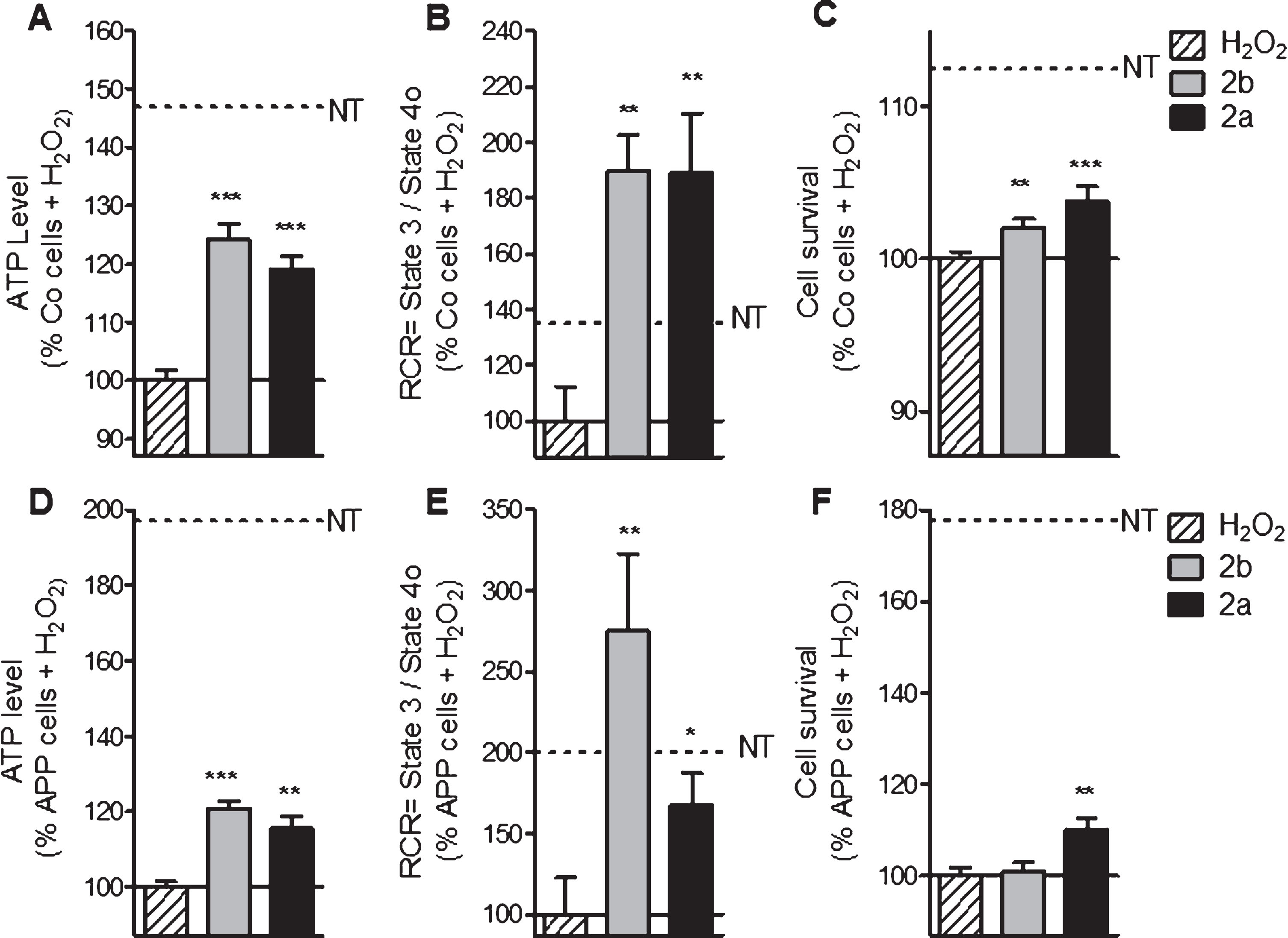 2a and 2b pre-treatment ameliorate ATP levels, mitochondrial respiration (RCR) and cell survival after oxidative insult in control (Co) and APP cells. Co and APP cells were pre-treated with the TSPO ligand 2b or 2a for 24 h and then exposed to H2O2 (500 μM for 3 h). H2O2 treatment induces a decrease of the ATP level, RCR as well as the cell survival both cell lines. The TSPO ligand 2b or 2a improved the ATP level, RCR and cell survival. Values represent the mean±SEM; n = 4–6 replicates of three independent experiments normalized to Co or APP cells treated with H2O2. One-way ANOVA and post hoc Dunnett’s multiple comparison test versus Co or APP cells treated with H2O2, *p < 0.05, **p < 0.0001, ***p < 0.001.