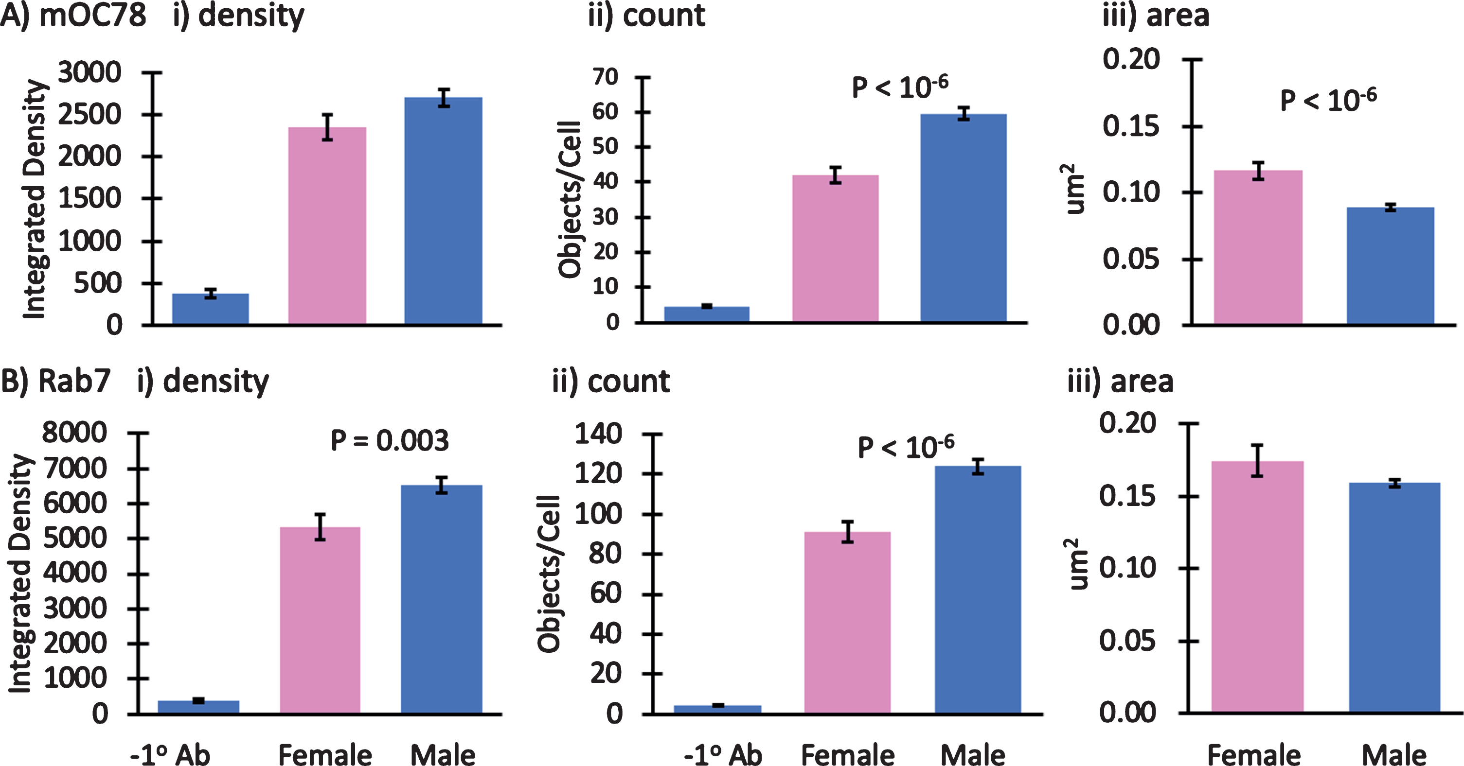 Small effect of mouse gender on mOC78 and Rab7 immunoreactivity. Male to female comparisons of A) mOC78 and B) rab7 immunoreactivity in neurons from 4-month-old mice. i) integrated density; ii) object counts/cell; iii) area per object. We have reported results from both male and female mice. To determine how dependent the results were on gender, in one experiment we explicitly compared mOC78 and Rab7 immunoreactivity in neurons from a female to a male 4-month-old 3xTg-AD mouse. A shows an insignificant 15% increase in mOC78 immunoreactive density per cell in the male compared to the female. The object counts per cell were 43% higher in the male with 33% smaller areas, compared to the female. B shows Rab7 immunoreactive density per cell was 22% higher in the male compared to the female. The object counts per cell were 36% higher in the male with only 6% smaller areas, compared to the female. Colocalization of mOC78 with Rab7 was 0.83 for both sexes. Since mOC78 male measures were increased over females in proportion to the mass effect of sex on Rab7, these results suggest that sex is not a major factor in the iAβ accumulation of mOC78 immunoreactivity. File 171013.