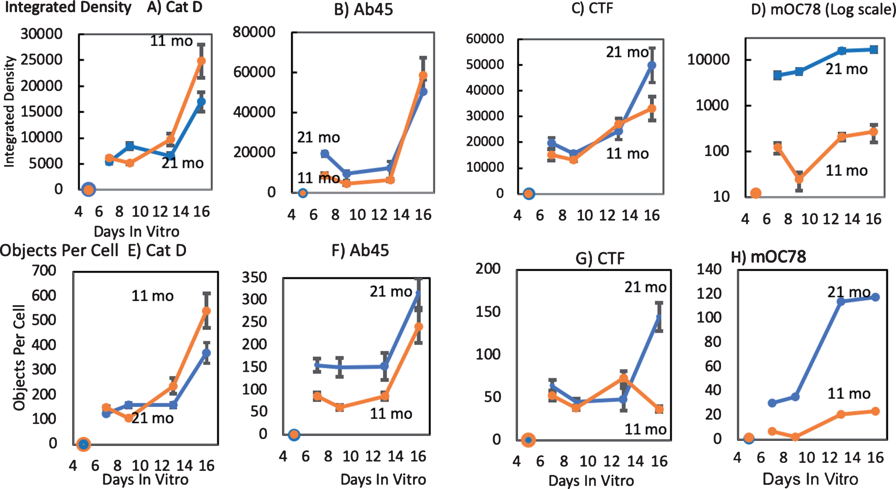 Greatest age-related increases in mOC78 by in vitro kinetics. Immunoreactive integrated density of (A) lysosomal Cathepsin D and (B-D) iAβ forms for neurons from an 11 (orange) and a 21-month-old (blue) female 3xTg-AD mouse. These results are paralleled by measures of objects counted per cell (E-H) from the same cells. Similar kinetics for anti-cathepsin D immunoreactivity (A, E), and iAβ forms (A, E), Aβ45 (B,F), AβPP-CTF (C, G), and mOC78 (D, H). Note that panel D, Y axis is log scale. File 170712.