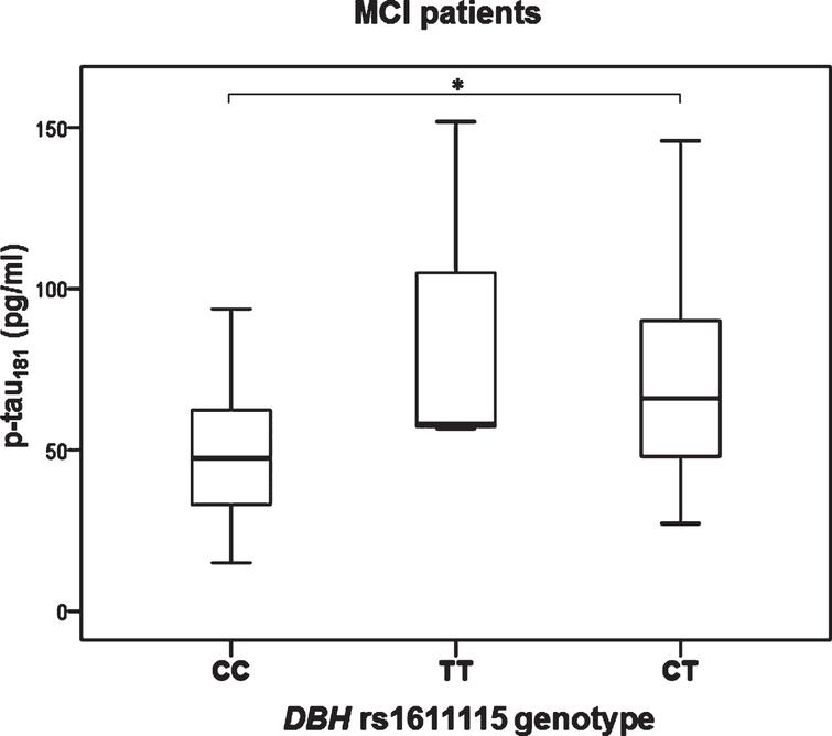 Levels of p-tau181 in MCI patients with different DBH rs1611115 genotype. *p < 0.05.