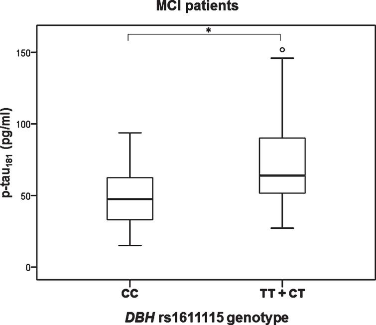 Levels of p-tau181 in MCI patients with different DBH rs1611115 genotype. Subjects with TT and CT genotypes are grouped together. *p < 0.05.