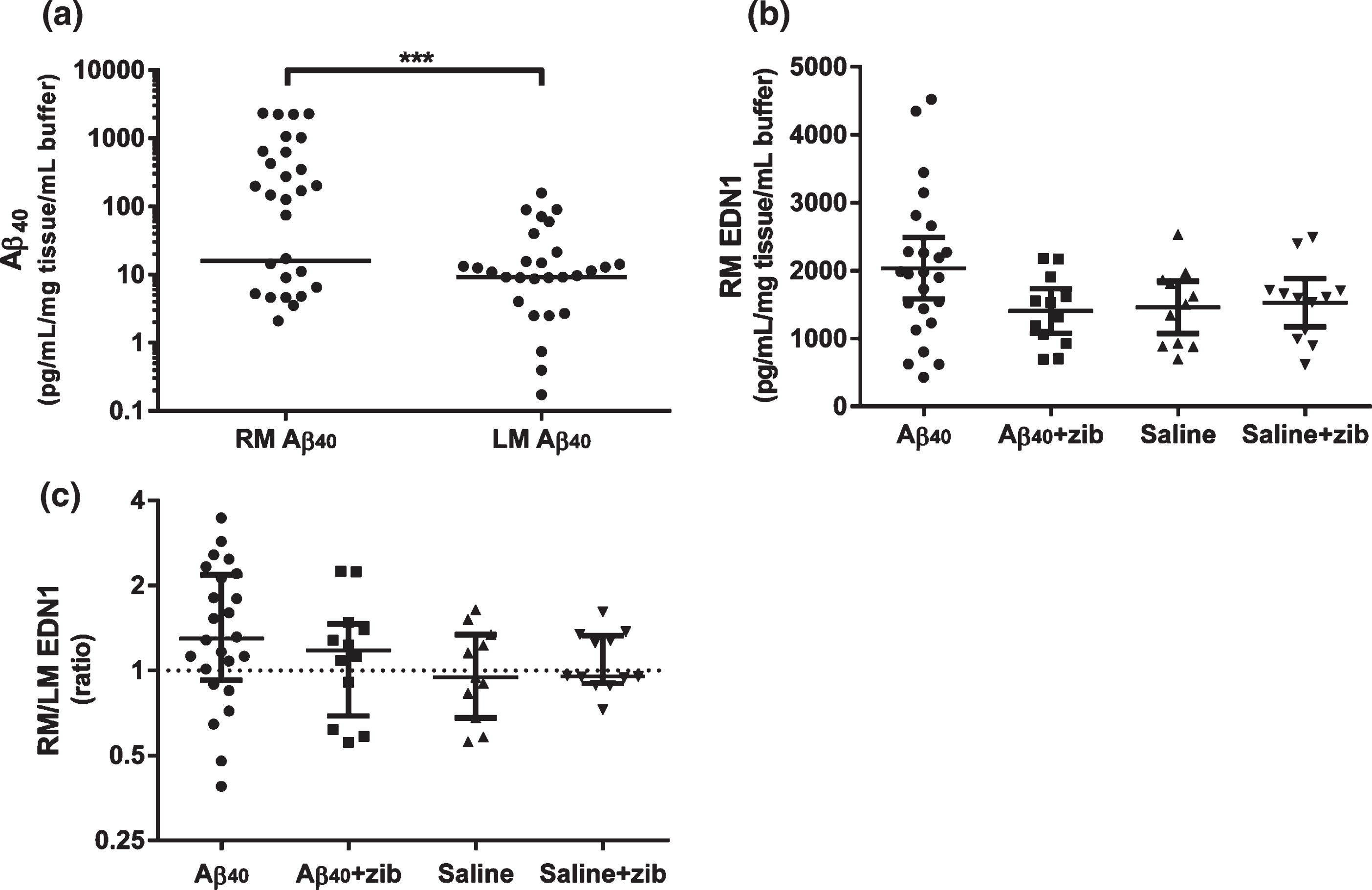 Aβ40 and EDN1 levels in brain tissue homogenates. Aβ40 and EDN1 levels measured by sandwich ELISA in rat brain tissue in homogenates from the left middle (LM) and right middle (RM; infusion site) hemispheres. a) Aβ40 in RM (n = 36) and LM (n = 35) samples. The horizontal lines show median Aβ40 levels; zero values (below detection limit) are not shown on the logarithmic scale (LM: n = 7/35, RM: n = 8/36) but were included for analysis. We used a Wilcoxon signed rank to test the null hypothesis (H0) that the median Aβ40 in each hemisphere did not differ significantly from zero. The median Aβ40 level was elevated in both hemispheres: RM group (15.9 (range 0–2335); W = 406, p < 0.0001) and LM group (9.16 (0-158); W = 406, p < 0.0001). A Wilcoxon matched-pairs signed rank test found a significant median of differences of 4.78 between RM and LM (n = 35; 95.9% CI: 0–202; p = 0.0003), reflecting a higher level of Aβ40 close to the site of infusion. Graph (b) shows RM mean EDN1 level (pg/mL/mg tissue/mL buffer) and 95% CI, and (c) shows the RM/LM EDN1 ratio, with values, median±inter-quartile range (IQR) plotted on a logarithmic scale. One-way ANOVA with Sidak’s multiple comparisons test was used to compare EDN1 levels. No significant variation was found in (b) RM (F3,55 = 2.40, p = 0.078) or LM (F3,55 = 0.182, p = 0.908; not shown). Although not significant, the greatest change in EDN1 was found in the RM of the Aβ40 group. We compared the median (c) EDN1 ratio of RM/LM in each group to the hypothetical median ratio (H0 = 1) by Wilcoxon signed-rank test. The median (1.30 (IQR 0.923–2.18)) was significantly elevated in the Aβ40 group (W = 188; p = 0.006) but not significantly altered in the other groups.