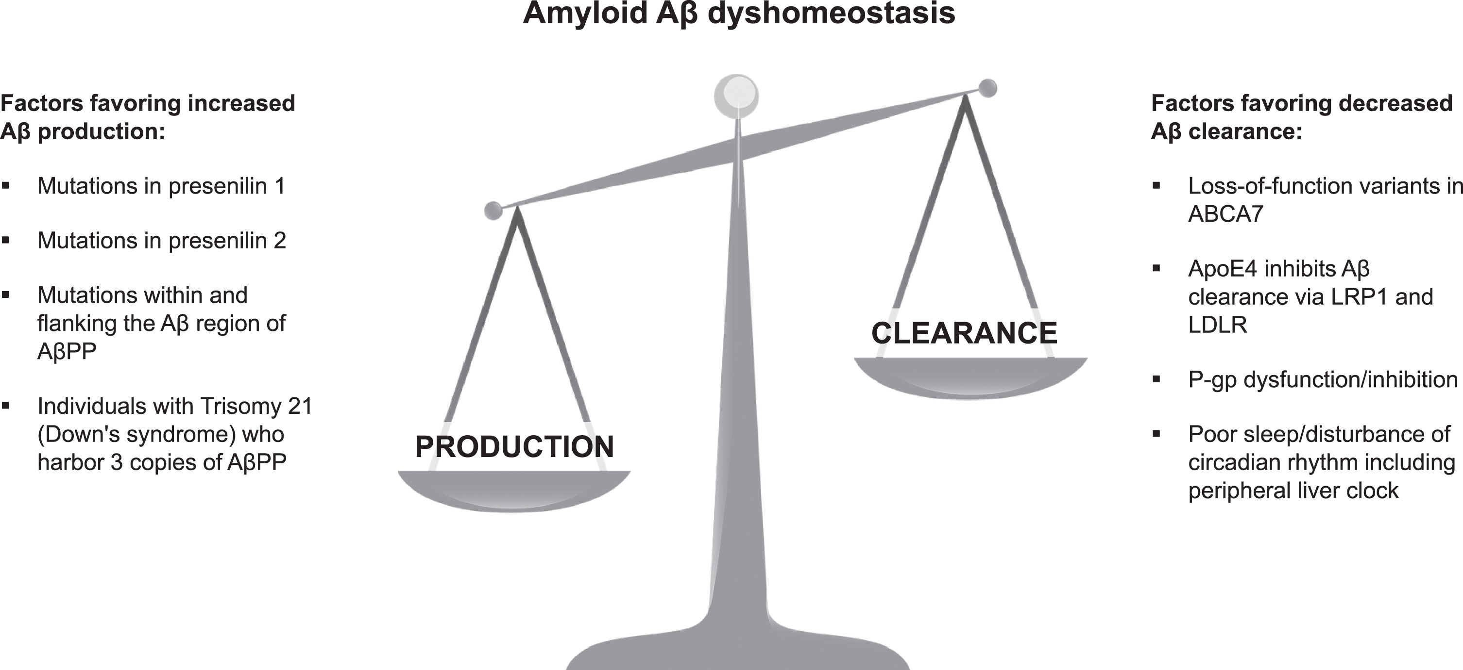 Some factors altering the balance between amyloid Aβ production and clearance leading to dyshomeostasis. Peripheral clearance can remove 40–50% of Aβ burden in the brain [25, 26]. Aβ, amyloid-β; AβPP, amyloid-β protein precursor, LRP1, low-density lipoprotein receptor-related peptide 1; LDLR, low-density-lipoprotein receptor; P-gp, P-glycoprotein.