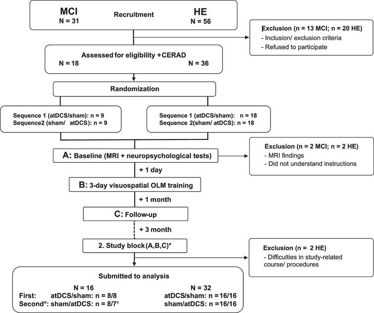Flowchart of cross-over studies including patients with mild cognitive impairment (MCI) and healthy elderly (HE). Thirty-one patients with mild cognitive impairment (MCI) and 56 healthy elderly (HE) were recruited and pre-screened. 13 MCI patients and 20 HE were excluded due to refusal or study-related constraints. One MCI patient and 2 HE matched exclusion criteria, and 1 MCI patient and 2 HE had to be excluded due to other difficulties, leaving 16 MCI patients and 32 HE for analysis. Participants were randomly assigned to either anodal transcranial direct stimulation (atDCS) or sham stimulation (sham) condition, which was applied simultaneous to training. *In the second study block, the same procedures were conducted, but according to a cross-over design training was done under the other (not yet applied) stimulation condition. 1Due to technical problems one MCI patient did not received the same training versions across training days during the second study block. Thus, performance data has to be excluded from analysis. Hence, n for MCI patients differed between study blocks.