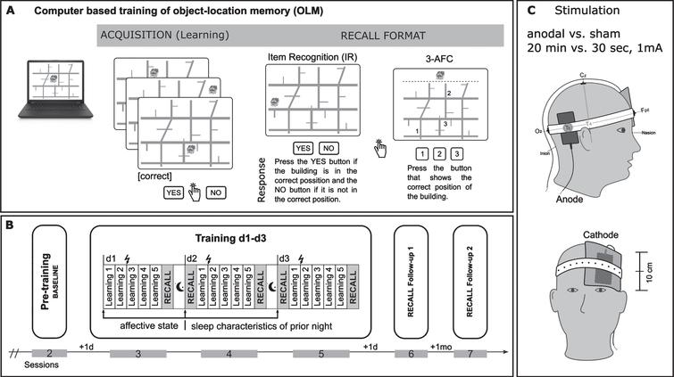 Overview of procedures related to associative object-location memory paradigm (LOCATO). A) Learning task (acquisition) and recall format (Item Recognition: IR and 3-Alternative Forced Choice: 3-AFC). B) Distribution of learning blocks over the training days, pre-training baseline assessment and follow-up post training measurements (RECALL Follow-up 1,+1 d: after 1 day; RECALL Follow-up 2,+1 mo: after 1-month); each study block comprised 6 sessions (2–7; first session (not shown)) with 3 months in-between. Training (session 3–5) consisted of three consecutive days, each comprised five learning blocks and subsequent cued recall test (IR, 3-AFC). C) Electrodes positioning.