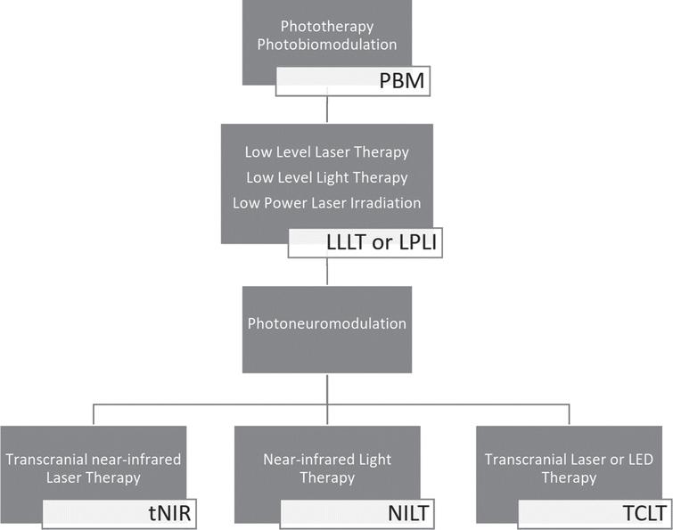 Many terms for the use of light in medical applications can be grouped under the umbrella term of photobiomodulation (PBM). When used against Alzheimer’s disease, photobiomodulation utilizes comparatively low power (low level) near-infrared laser or LED light which can be applied in a transcranial manner for photo-neuro-modulation.