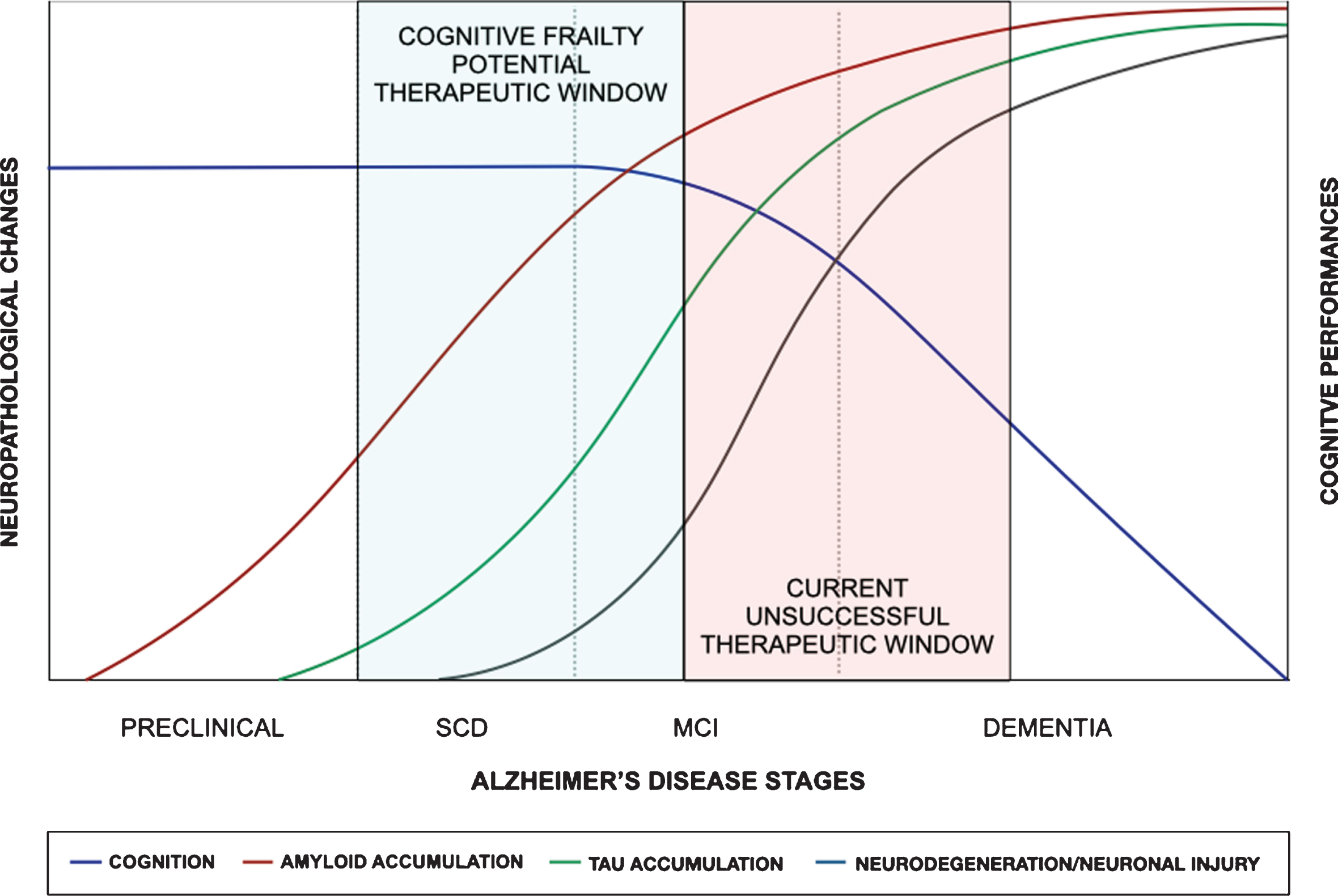 Cognitive frailty and the natural history of Alzheimer’s disease (AD). Here is schematically depicted the natural history of AD with the supposed timing of neuropathological changes in relation to the cognitive decline [59]. The definition of patients with subjective cognitive decline (SCD) and early mild cognitive impairment (MCI) at risk of dementia in the cognitive frailty stage could offer a potential therapeutic window to overcome the limitations of the current unsuccessful therapeutic window of late MCI and early dementia.