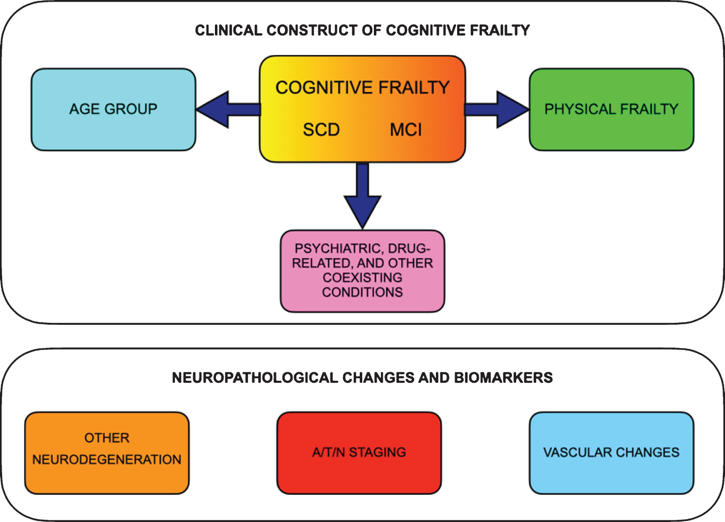 The proposed multidimensional clinical construct of cognitive frailty and the parallel neuropathological changes and biomarkers. Clinical construct of cognitive frailty should include subjective cognitive decline (SCD) or mild cognitive impairment (MCI) together with physical frailty and should consider age range and comorbidities (i.e., psychiatric, drug-related and other coexisting conditions). The neuropathological changes and biomarkers, if present, may offer additional prognostic information, e.g., stratifying the risk of conversion to dementia.