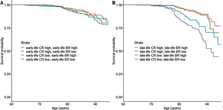 Dementia survival curves for the low and high CR and BR strata. Panel A displays the curves for early-life reserve, and Panel B for late-life reserve. The variables were dichotomized along the mean. CR, cognitive reserve; BR, brain reserve.