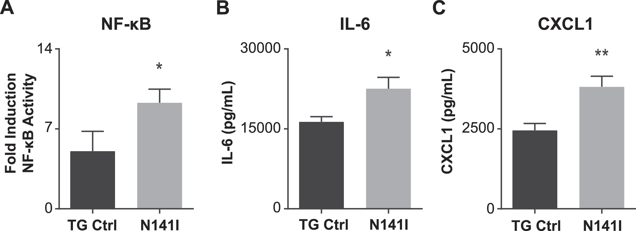NFκB transcriptional activity and inflammatory cytokine/chemokine secretion is enhanced in PS2 N141I microglia in response to LPS stimulation. A) Transgenic control (TG Ctrl) and PS2 N141I (N141I) microglia were transduced with lentiviral NFκB assay constructs. Forty-eight hours post transduction, microglia were exposed to 100 ng/mL LPS for 4 h and NFκB activity was measured by a luciferase reporter assay. PS2 N141I microglia show increased NFκB induction compared TG Ctrl. Data are mean±SEM, n = 4 and represent experiments from independent cultures, *p < 0.05, t-test analysis. Transgenic control (TG Ctrl) and PS2 N141I (N141I) primary microglia were stimulated with 100 ng/mL LPS for 24 h. B) IL-6 and C) KC (CXCL1) were significantly elevated in cell supernatants from PS2 N141I microglia relative to TG Ctrl as measured by multiplex cytokine assay. Data are mean±SEM, n = 4 and represent experiments from independent cultures, *p≤0.05, t-test analysis.