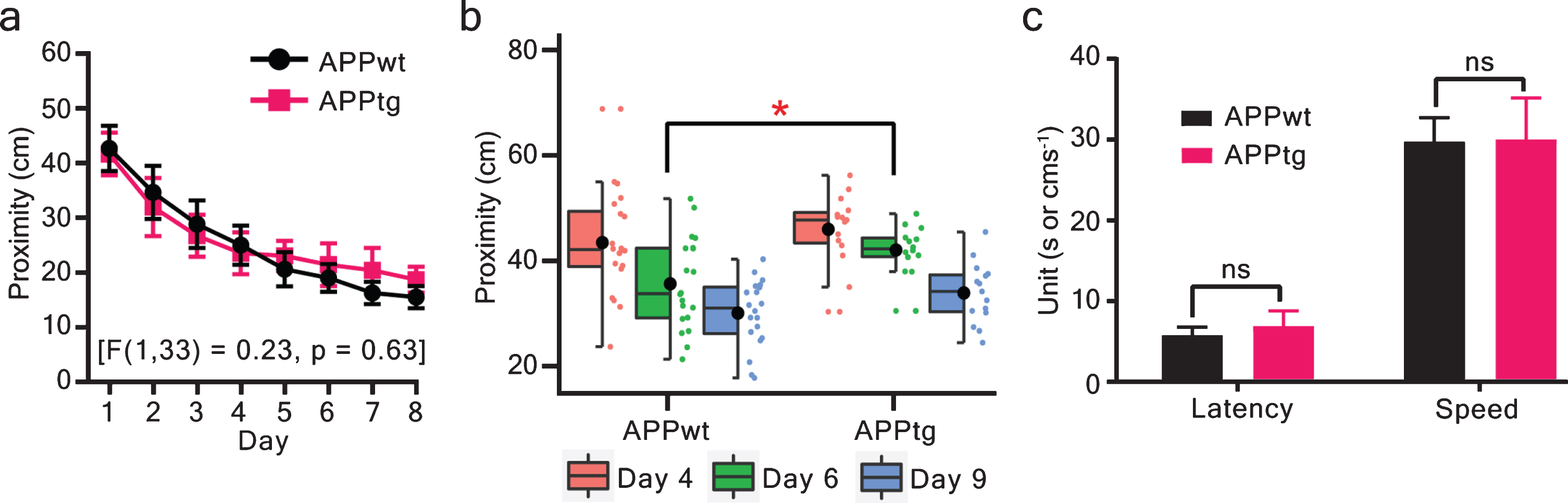 MCI was not detected using the long ITI (spaced trials) protocol. Learning and memory were assessed via proximity during training trials and probe trials. a) ANOVA on a mixed model repeated measures did not show any statistically significant group effect. b) Probe trials were conducted on day 4, day 6, and day 9 to assess memory. The proximity values were evaluated and showed that both groups decreased their proximity values as a function of probe trial-day. However, APPwt performed statistically better than APPtg on day 6 (two-tailed unpaired t-test - proximity: p = 0.01. The figure is a half-boxplot with jitter points. A horizontal line is a median, a black circle indicates a mean, a box shows interquartile range (IQR), and the whiskers are 1.5 X IQR. Additionally, individual points are shown as jitter points in a separate vertical column alongside boxplot. c) at the end of the WM task, visual cue trials were conducted to assess visual acuity and motor performance (two-tailed unpaired t-test - latency: p = 0.24; speed: p = 0.94). Values are shown as mean±95% CI (confidence interval). ∗p <  0.05; ns: non-significant; APPwt N = 20 and APPtg N = 15 animals.