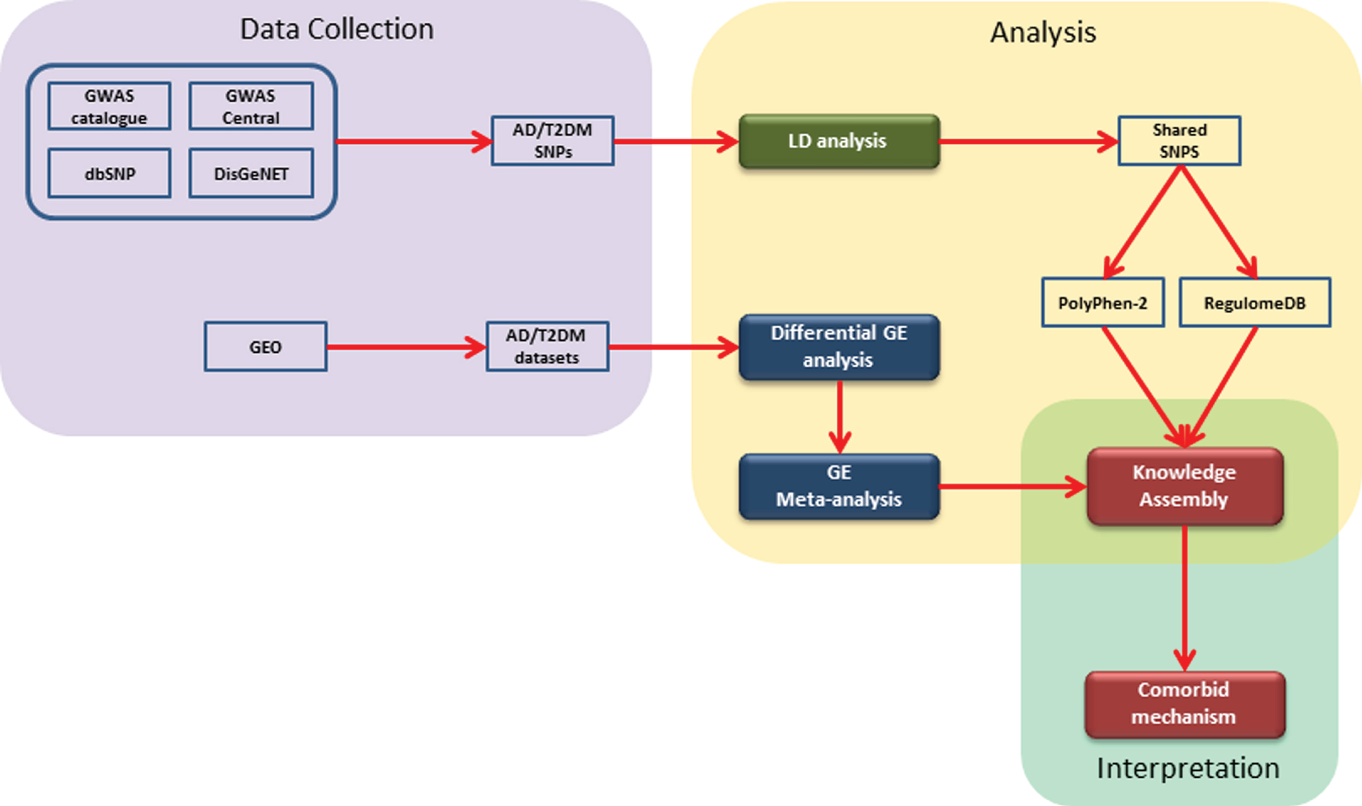 A schematic representation of the implemented workflow: The steps involved are 1) collection of genomic and gene expression data from open and freely accessible databases; 2) analysis of data using available tools and packages; and 3) construction of literature derived knowledge assembly and comorbid interpretation.