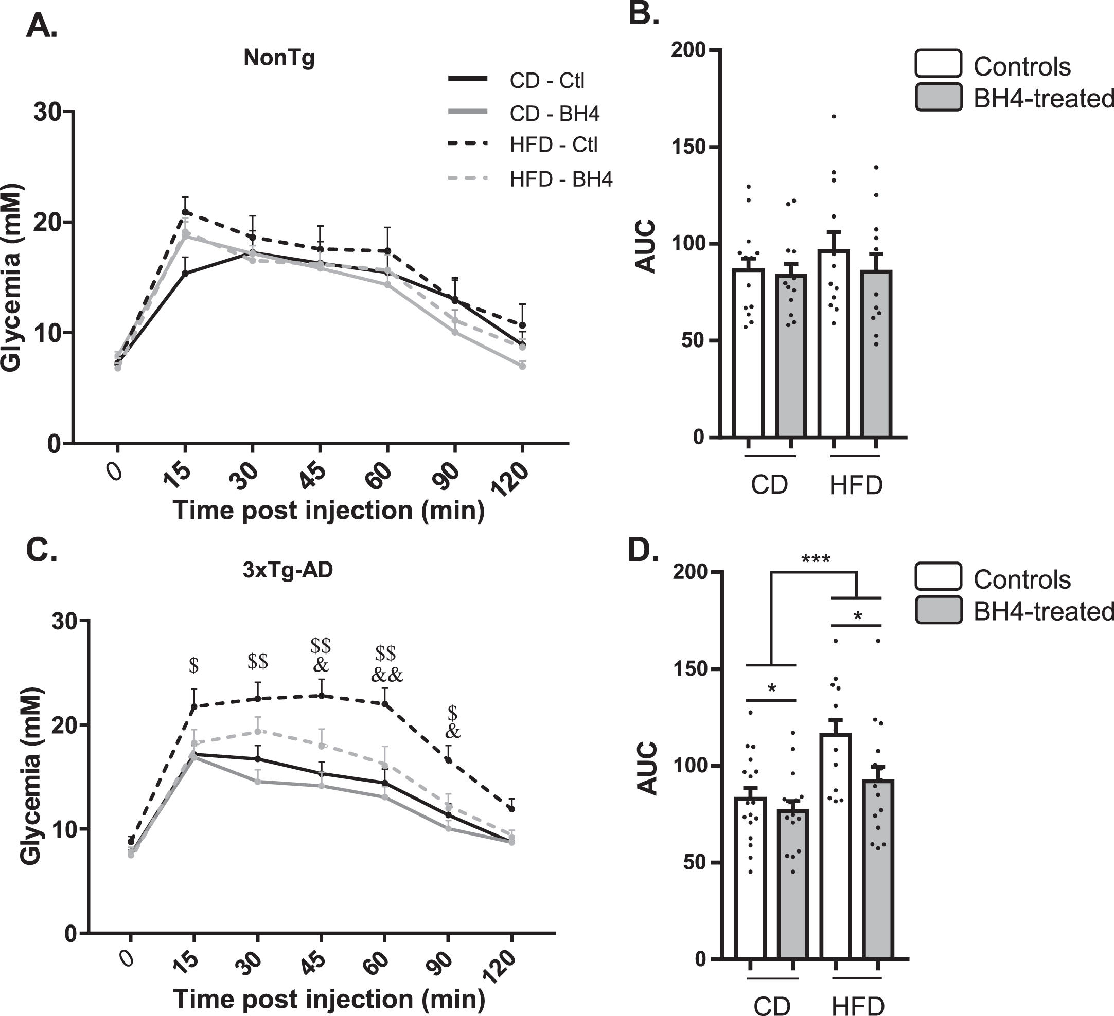 BH4 administration improves glucose tolerance in 3xTg-AD mice. Glucose tolerance in response to the intraperitoneal administration of glucose (i.p. 1 g/kg) in fasted NonTg (A, B) and 3xTg-AD mice (C, D). B–D) Area under the curves (AUC) from t = 0 to t = 120 min is represented for all groups. Values shown are glycemia (mM) or AUC (mM/min), expressed as mean±SEM with N = 11–17/group. Statistical analyses: (C) $p < 0.05, $$p < 0.01 for each time point, significantly different between CD and HFD in Ctl mice; &p < 0.05, &&p < 0.01 for each time point, significantly different between BH4 treated and Ctl mice under HFD; (D) *p < 0.05 Main BH4 Treatment effect; ***p < 0.001 Main Diet effect (Multimodal ANOVA).