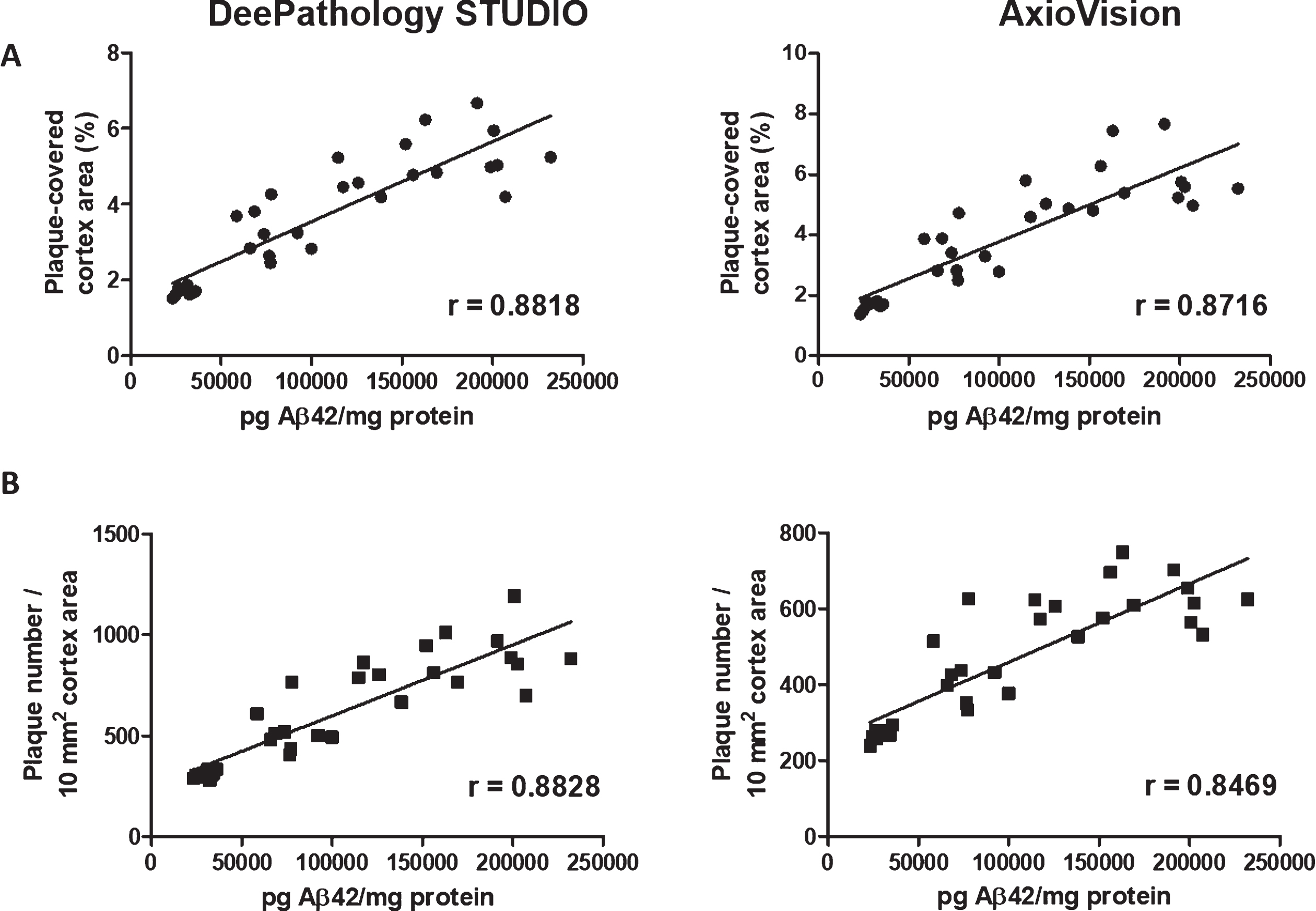 Correlation analysis of Aβ42 concentration measured by (A) ELISA and plaque coverage and (B) plaque density calculated with DeePathology STUDIO (left) and AxioVision (right). Both analyses show similar high correlation to Aβ concentration.