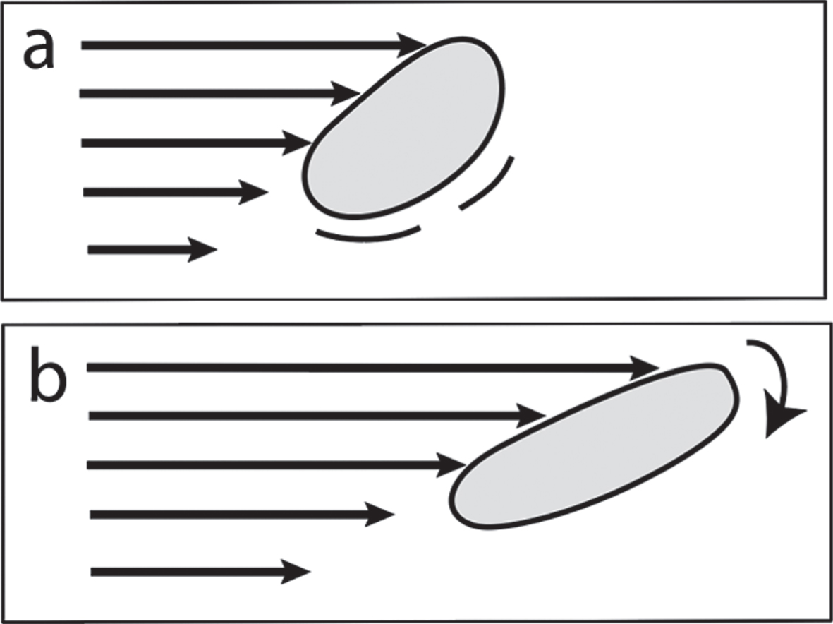 a) Laminar shear flow: flexible molecule undergoing stretching, distortion, chemical excitation, and molecular rotation. b) Later time than (a) showing direction of rotation.