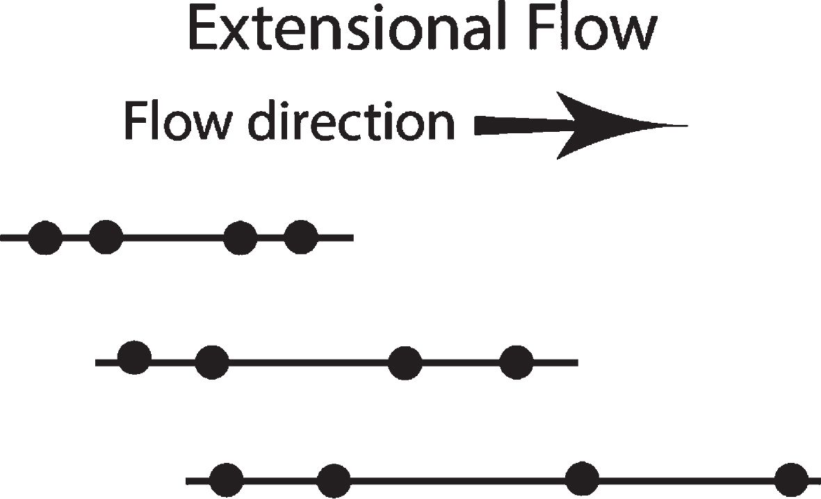 Lines representing protein under extensional flow, with two sets of points, leading and lagging. The line is unevenly stretched, with the distance between the leading set of points accelerating faster than the distance between the lagging set of points. The molecule is moving in the direction of flow. This is the type of extensional strain found on the left side of Fig. 2 below between A and B objects, as well as between B and C.