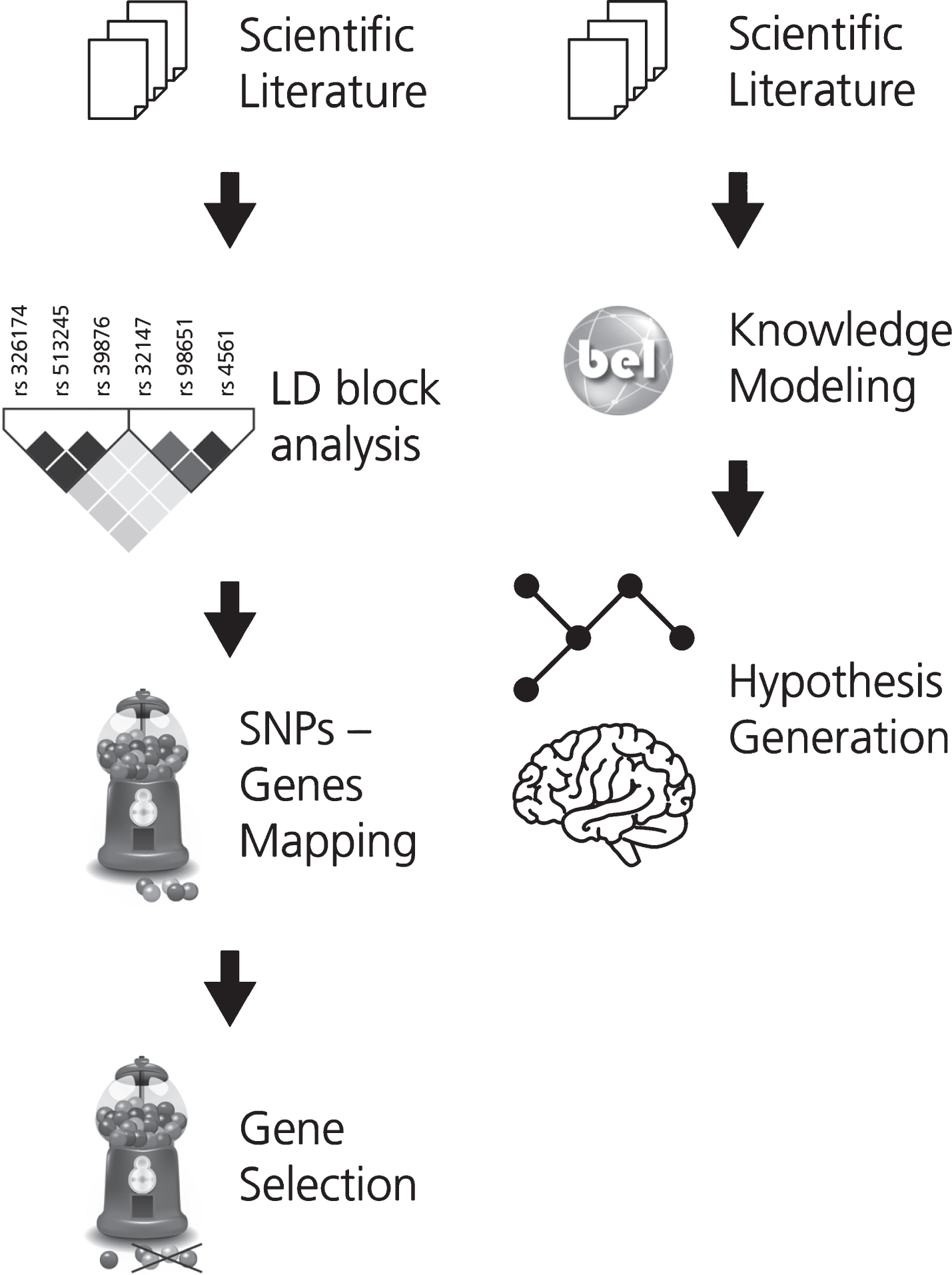 The two workflows developed for (A) gene prioritization and for (B) generating the mechanistic knowledge assembly around the effect of genetic variants on neuroimaging features in AD. In workflow A, the first step involves the selection of a corpus of relevant scientific literature. Next, the SNPs extracted from this corpus were subjected to LD block analysis and the subsequently obtained SNPs were mapped to their corresponding or associated genes. KANSL1, a novel AD gene, was selected from this pool of mapped genes for further investigation. In workflow B, corpus for the selected gene is extracted and translated into BEL to generate a knowledge assembly model for hypothesis generation.