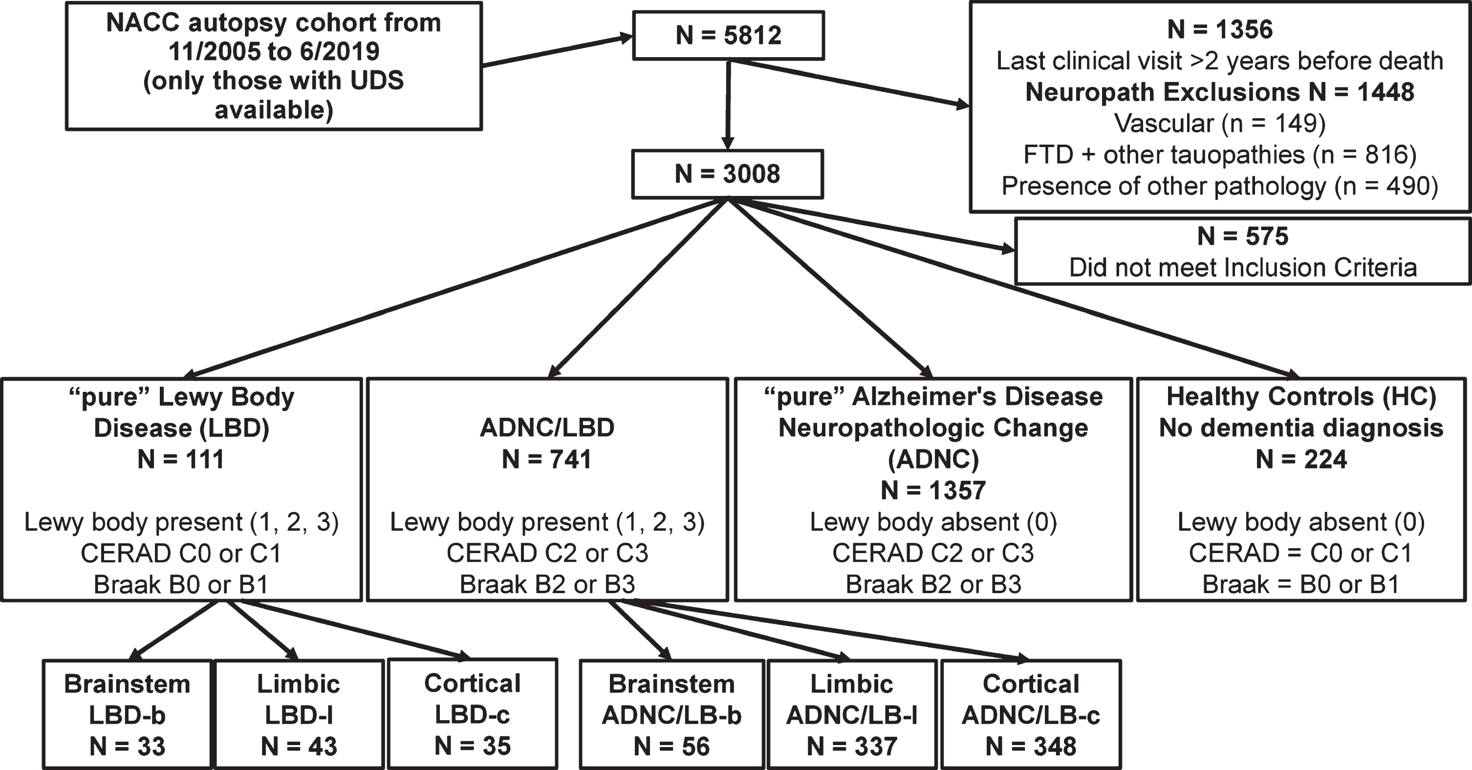 Flow Diagram of Exclusion Criteria. “Pure” Lewy body disease pathology (LBD) groups exhibited low Alzheimer’s disease neuropathologic change (ADNC). Low ADNC includes Neuritic plaque score (CERAD[26]) equivalent to C0 or C1, and Braak Neurofibrillary Tangle Score (Braak Stage; equivalent to B0 or B1 [27]). LBD groups were further delineated into brainstem (LBD-b; most commonly observed in the substantia nigra or locus coeruleus), limbic (LBD-l; cingulate, entorhinal, amygdala), and cerebral cortical (LBD-c) groups. Combined pathology groups (ADNC/LBD) exhibited intermediate or high ADNC and the presence of Lewy body neuropathology and were further delineated into brainstem (ADNC/LBD-b), limbic (ADNC/LBD-l), and cerebral cortical (ADNC/LBD-c) groups. “Pure” ADNC exhibited intermediate or high ADNC and no LBD. Healthy controls (HC) exhibited low ADNC and no LBD and no diagnosis of dementia at any evaluation. NACC, National Alzheimer’s Coordinating Center; UDS, Uniform Data Set; FTD, frontotemporal dementia; CERAD, Consortium to Establish a Registry for Alzheimer’s disease criteria.
