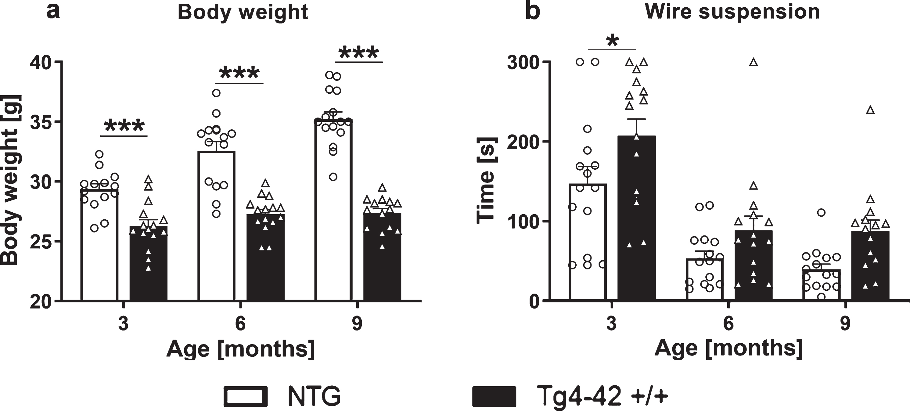Body weight and wire suspension time in 3-, 6-, and 9-month-old Tg4-42 +/+ mice. Body weight in gram (a) and time in seconds animals were able to hold the grid (b). a, b) Two-way ANOVA followed by Bonferroni’s post hoc test. n = 15 per group. Mean + SEM. *p < 0.05, ***p < 0.001.