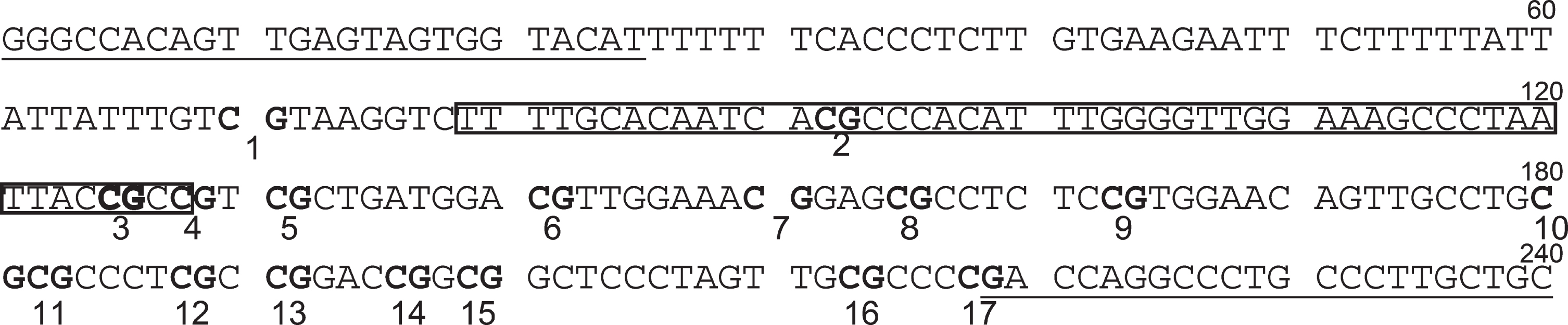 WNT5A upstream sequence corresponding to PCR amplification region. Underlined parts indicate primer-binding sites. Boxes indicate probe-binding sites. CpGs are indicated as bold characters. The 3rd CpG is the target site of the Illumina Infinitum HD Methylation Assay.