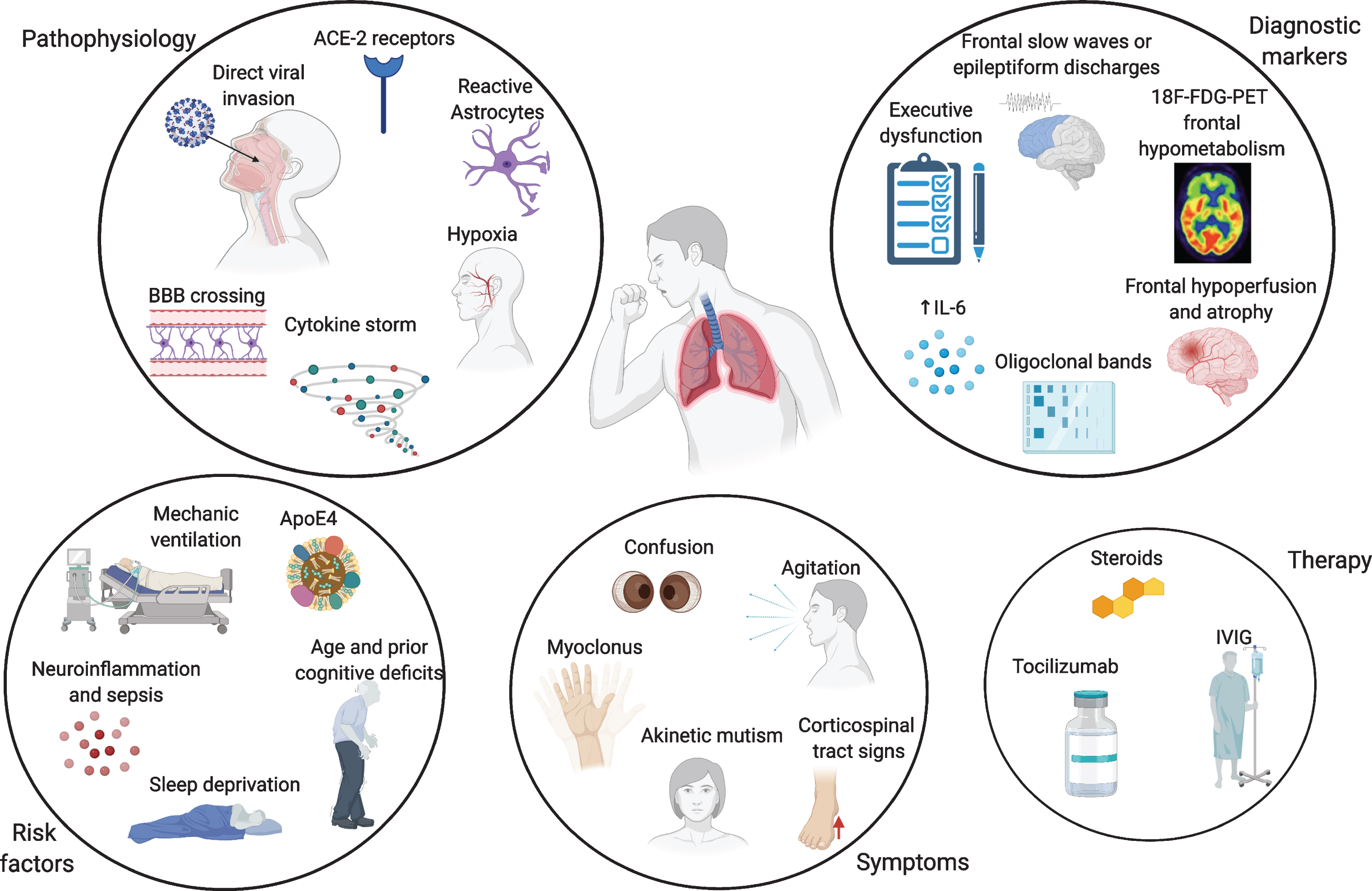 Overview of the pathophysiological mechanisms, risk factors, symptoms, and biomarkers of cognitive impairment and therapy in COVID-19 patients. Made in ©BioRender - biorender.com.