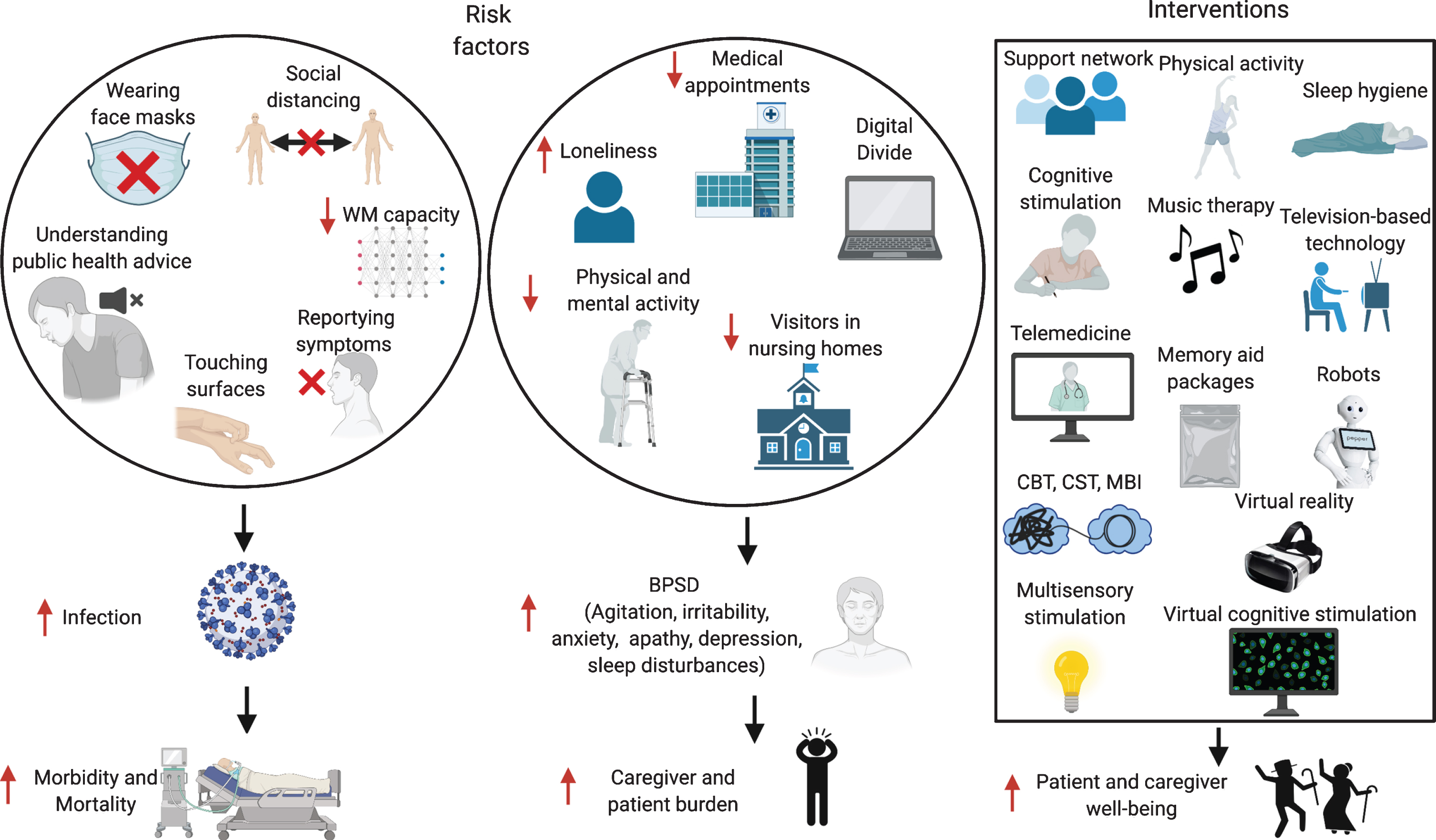 Risk factors for increased infection rates and BPSD in patients with dementia, and possible interventions. WM, working memory; BPSD, behavioral and psychological symptoms of dementia; CBT, Cognitive Behavioral Therapy; CST, Cognitive Stimulation Therapy; MBI, Mindfulness-Based Intervention. Made in ©BioRender - biorender.com.