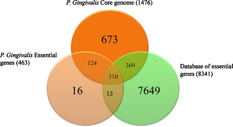 Comparisons and overlap of essential genes and the core genome of P. gingivalis type ATCC 33227 together with the entire curated database of essential genes. Modified with permission from Klein BA, Tenorio EL, Lazinski DW, Camilli A, Duncan MJ, Hu LT (2012) Identification of essential genes of the periodontal pathogen Porphyromonas gingivalis. BMC Genomics 13, 578, under the terms of the Creative Commons CC BY license.
