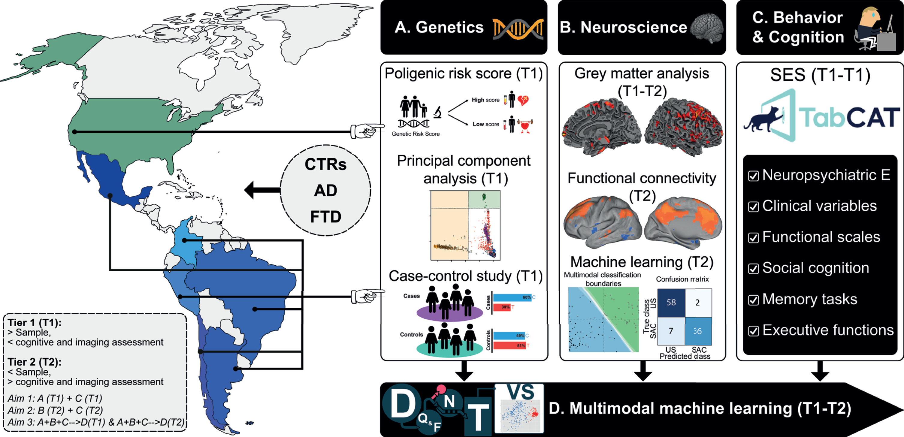 The ReDLat initiative. Systematic comparisons between LAC and US samples of AD and FTD via a novel, multimodal approach. The multimodal patterns will be assessed with different measures of (A) genetic risk (Aim 1), (B) imaging markers boosted by computational approaches, and (C) harmonized and novel measures of cognitive profiles and SES/SDH (Aim 2). These data sources will be (D) integrated and compared across countries through machine learning (Aim 3) to unveil the main commonalities and differences between US and LAC samples. Tier 1 (T1): Larger study (Aim 1 &3). Tier 2 (T2, smaller study with deep neurocognitive investigation (Aim 2 & 3). D, data; Q&F, quality & feature extraction; N, normalization; T, test; VS, visualization.
