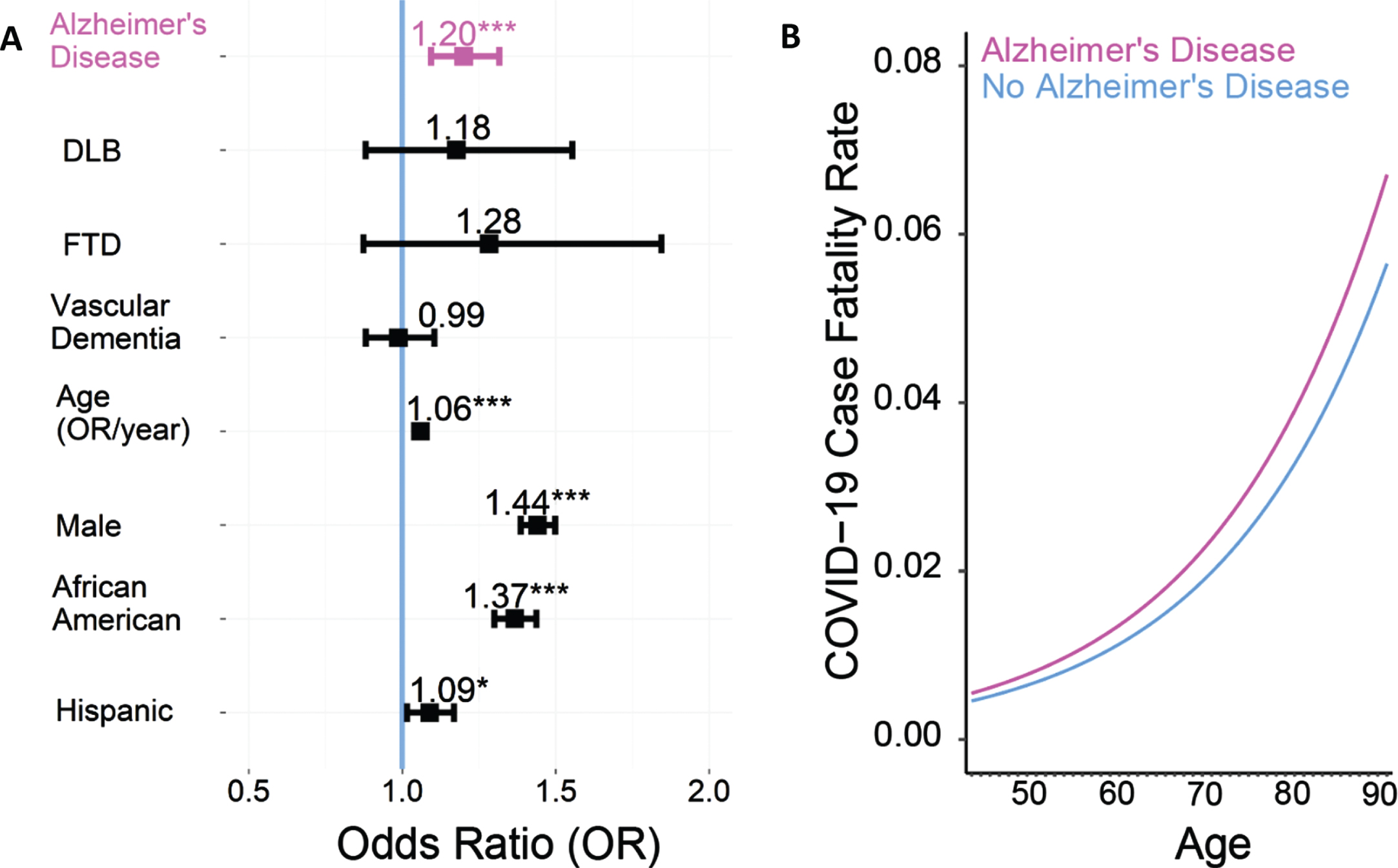 COVID-19 patients with Alzheimer’s disease (AD) have an increased case fatality rate (CFR). A) Odds ratio (OR) of COVID-19-induced case-fatality rate; an OR of greater than 1 means a greater risk of dying of COVID-19. COVID-19 patients with AD (n = 4174) have an increased CFR compared to those without AD (n = 383,667, odds ratio: 1.20, 95%confidence interval: 1.09–1.32, p < 0.001; this would mean that all other factors being equal, a patient with AD would have a ∼20%increased chance of COVID-19 mortality). Logistic regression was performed with age, sex, race, ethnicity and 30 comorbidities from the Elixhauser comorbidity index included as covariables. Data from 387,841 COVID-19 patients in the TriNetX research network. B) COVID-19 CFR was higher across age groups > 50 years. Lines represent the model fit of each year (with age as a fixed effect) for AD patients (pink) and those without AD (blue).