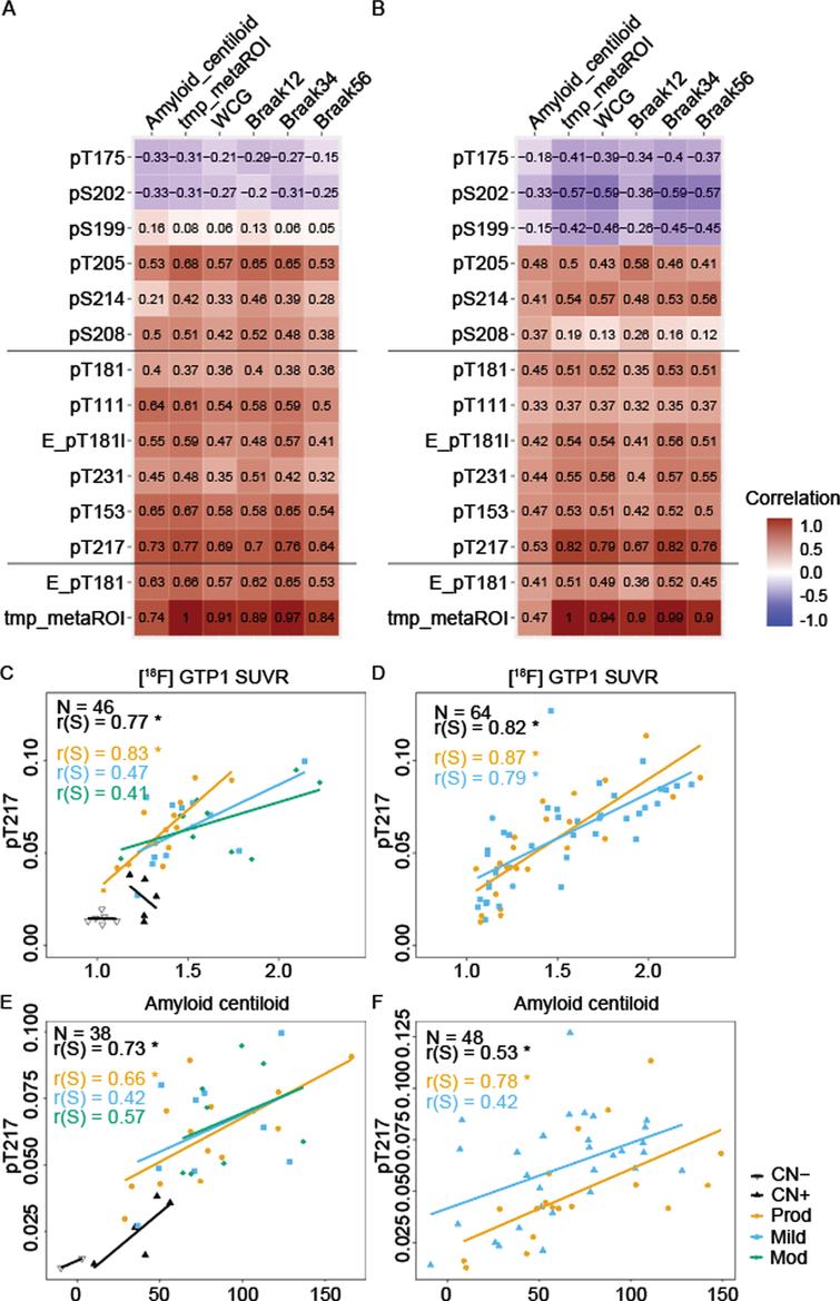 Association between [18F]GTP1 SUVR and CSF p-tau measures. Correlation comparison (Spearman r) between measures of amyloid PET centiloid and brain tau aggregation in various regions of interest using [18F]GTP1 SUVR in select regions of interest (temporal meta: tmp_metaROI, whole cortical grey:WCG, Braak12, Braak34, Braak56) with CSF p-tau measures (middle sites: “pT217 cluster”) and amyloid PET in (A) Cohort A, and (B) Cohort B. Correlation between [18F]GTP1 SUVR (tmp_metaROI) and CSF tau phosphorylation occupancy on T217 in (C) Cohort A and (D) Cohort B. Correlation between Aβ PET(centiloid) and CSF tau phosphorylation occupancy on T217 in (E) Cohort A and (F) Cohort B. Empty triangle, CN- (cognitively normal); solid triangle, CN+; orange, prodromal AD; blue, mild AD; gray, moderate AD. Elecsys pTau181 level (pg/mL):E_pT181l, Elecsys pTau181/tTau ratio: E_pT181, MS pTau/uTau ratios: pX###