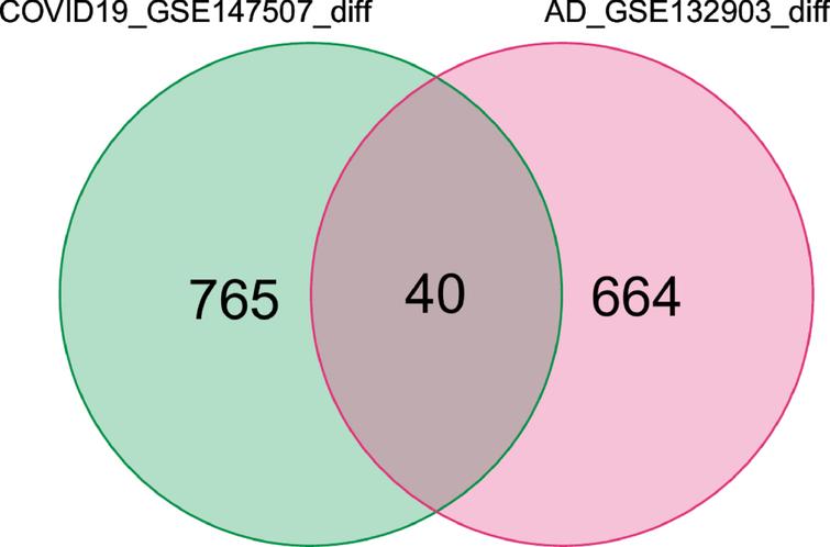 Common DEGs are represented by a Venn diagram. 40 genes were found as common DEGs from 805 DEGs of COVID-19 and 704 DEGs of AD patients.