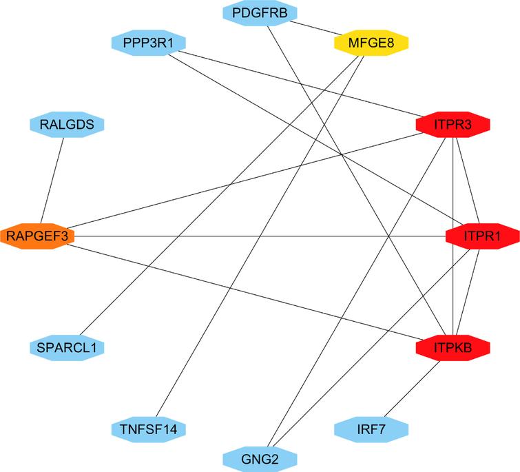 Identification of hub gene from the PPI network. According to the degree value, the highlighted 5 genes (ITPR1, ITPR3, ITPKB, RAPGEF3, MFGE8) are considered as hub genes.