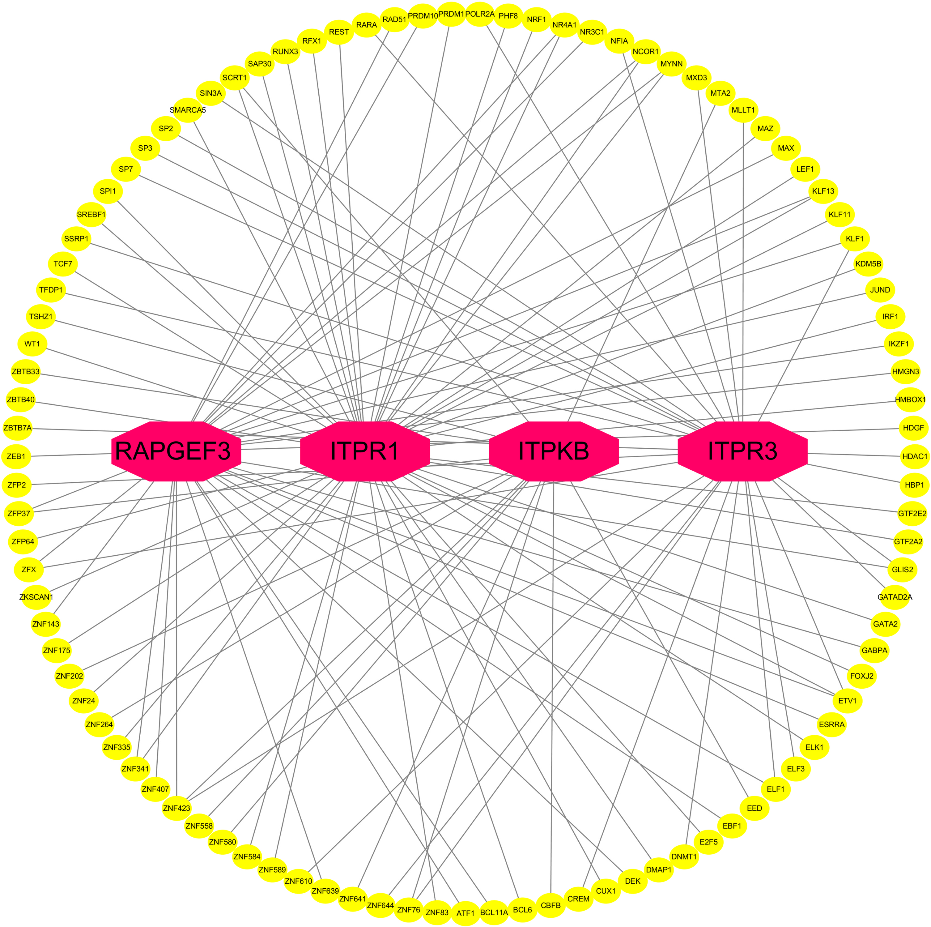 Network of TF-gene interactions with 4 hub genes. The red node represents the hub genes, yellow node represents TF-genes.