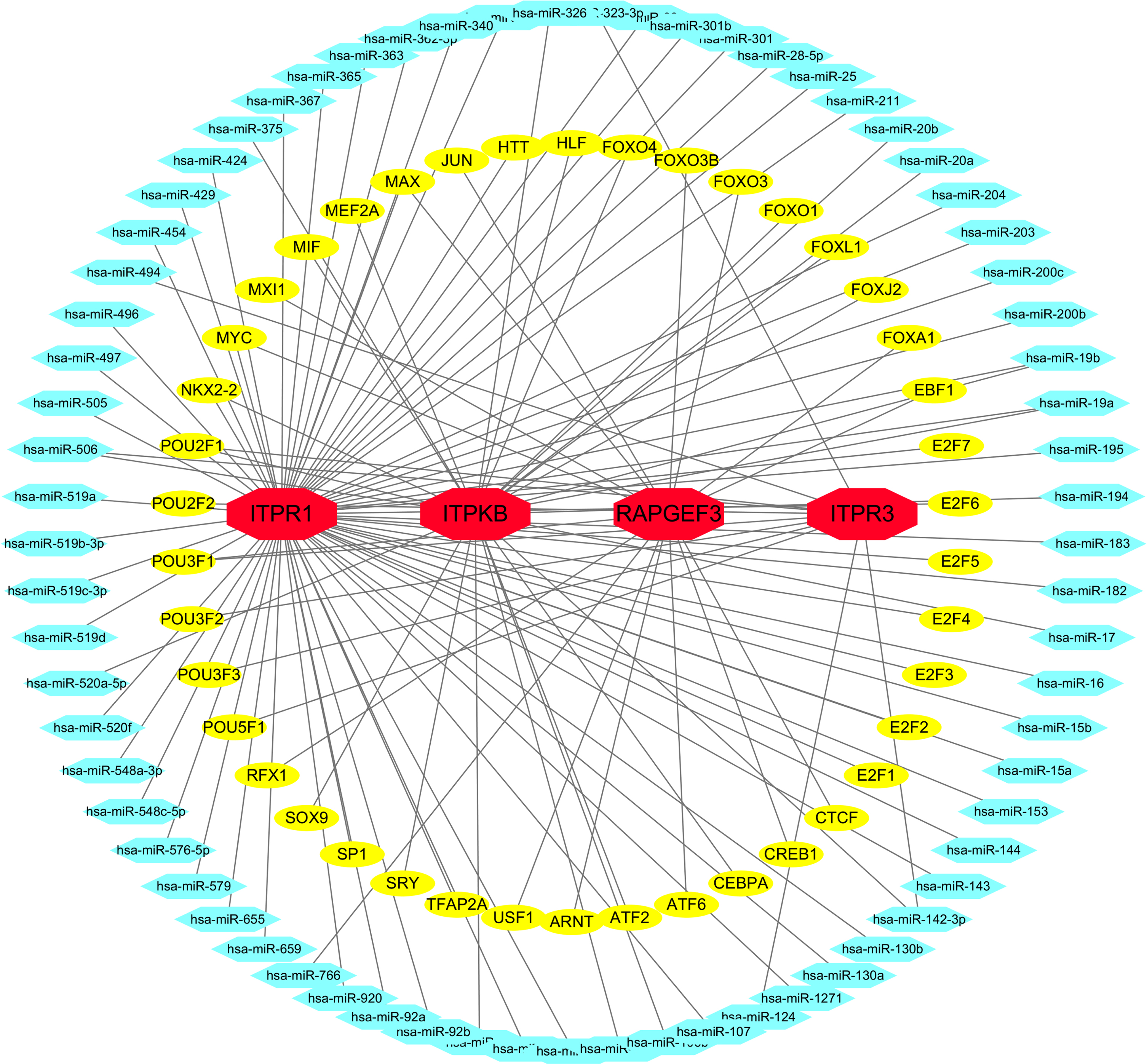 TF-miRNA coregulatory network. The network presents the interactions between TF-genes, miRNA and 4 hub genes. The red color nodes represent the hub genes, yellow nodes are TF-genes and blue nodes indicate miRNA.